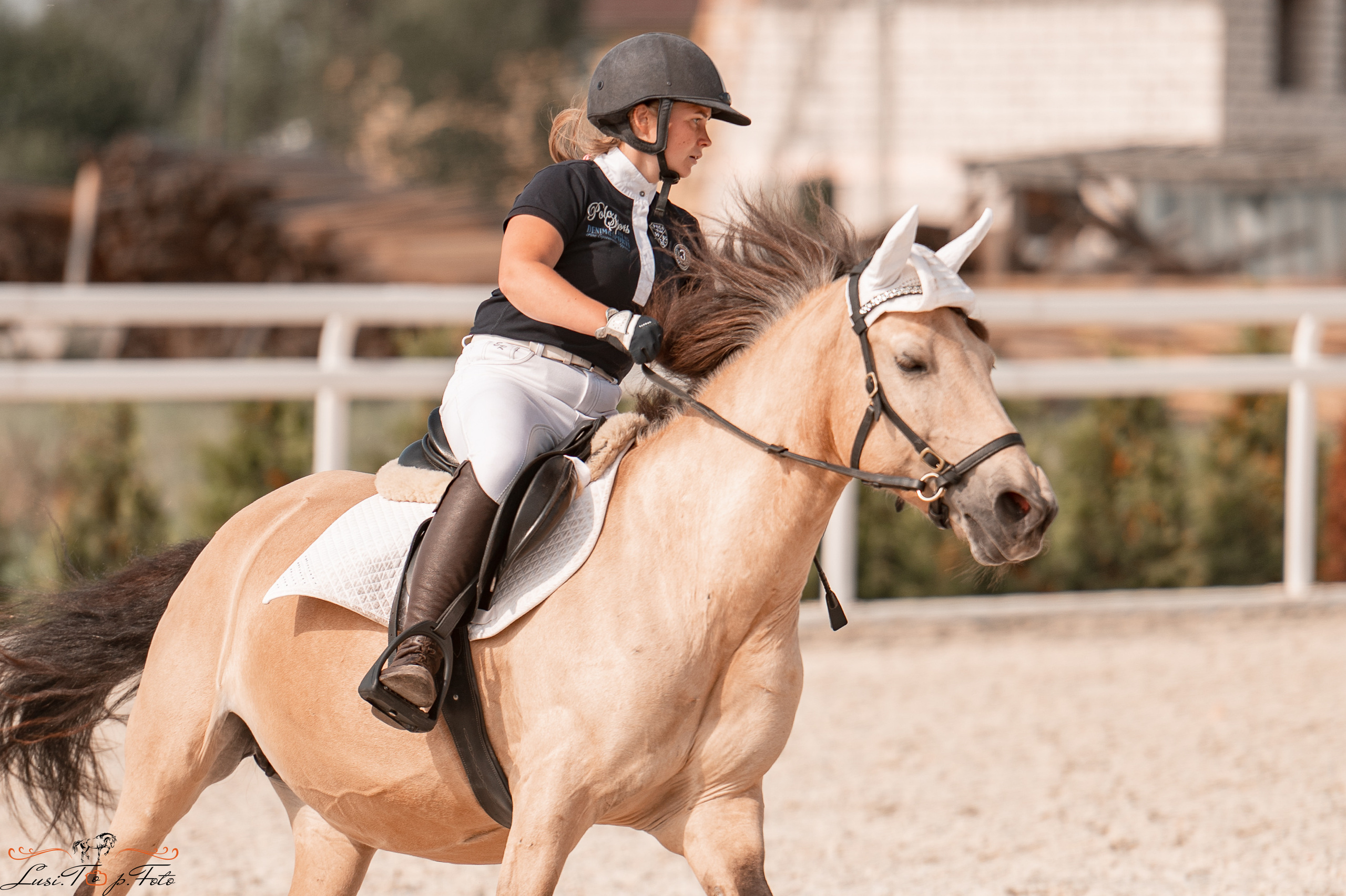 Открытая тренировка по конкуру в КК Equipark. Конный и фотограф с животными в Твери Топталова Люся