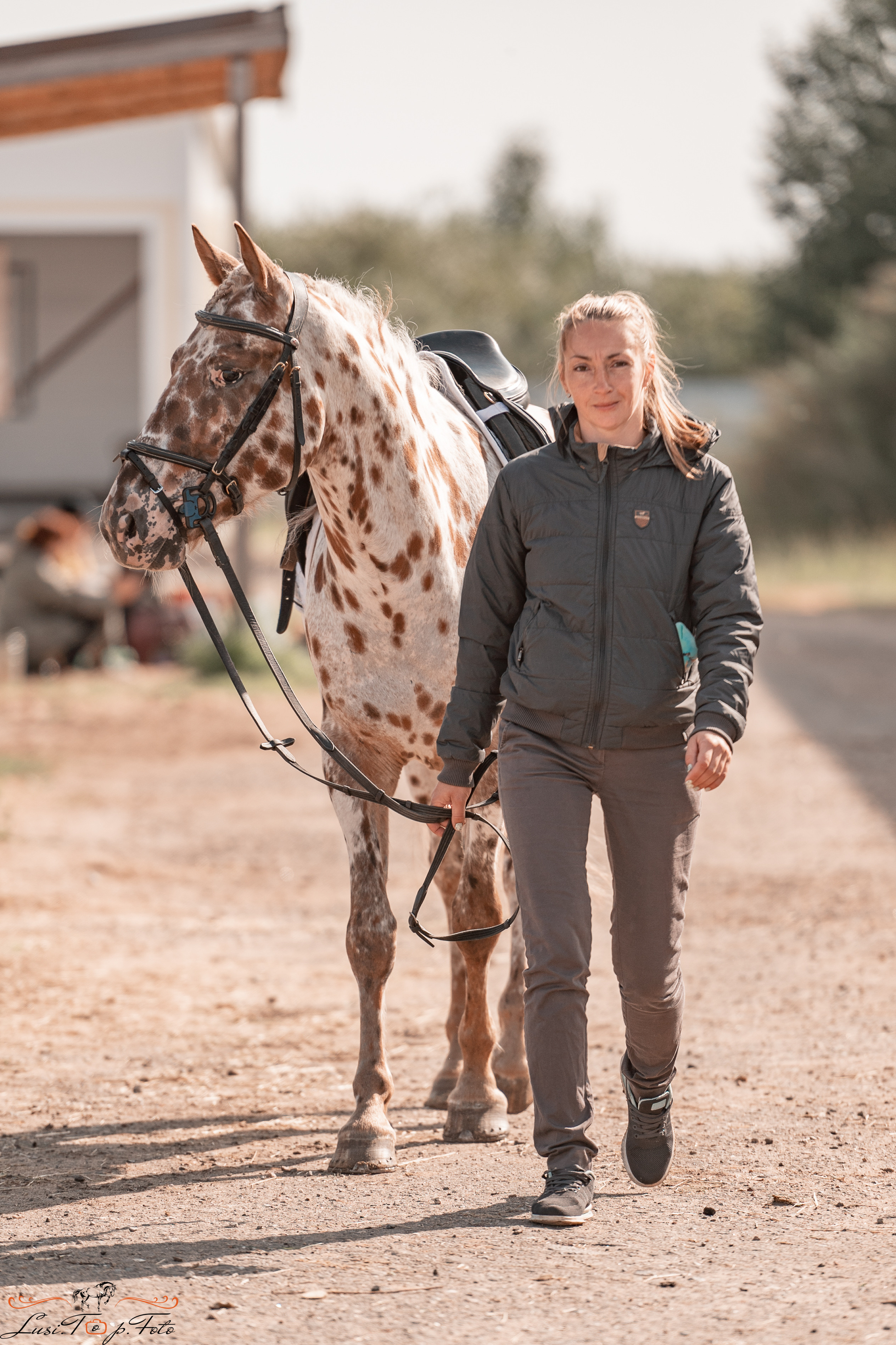 Открытая тренировка по выездке в КК Equipark. Конный и фотограф с животными в Твери Топталова Люся