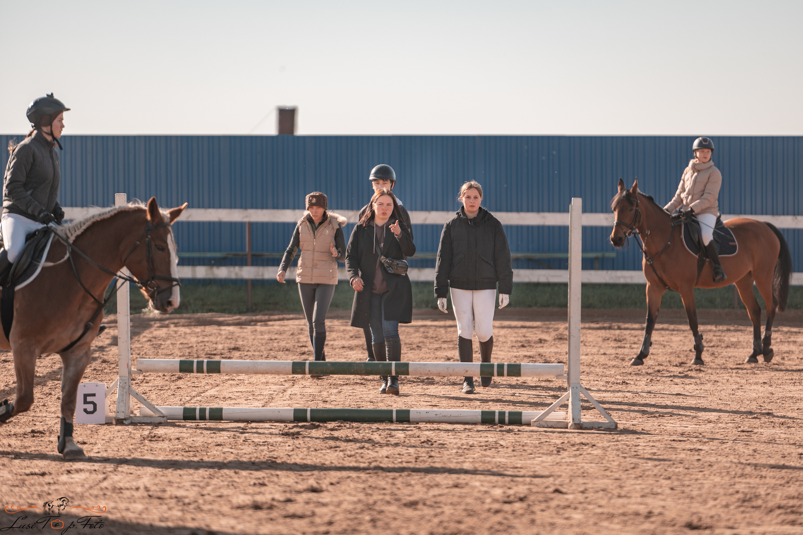 Открытая тренировка КК «Резвая». Конный и фотограф с животными в Твери Топталова Люся