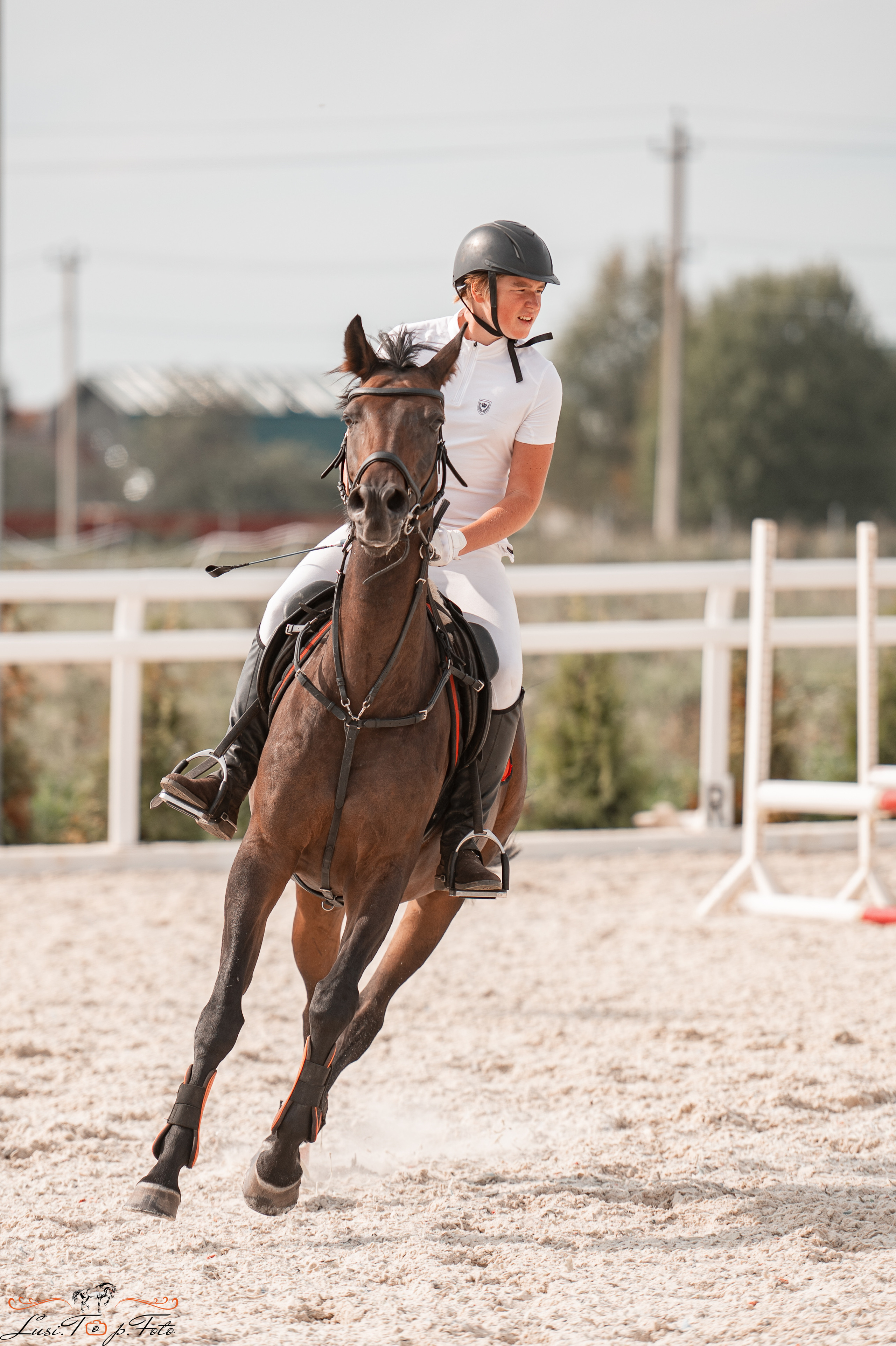 Открытая тренировка по конкуру в КК Equipark. Конный и фотограф с животными в Твери Топталова Люся