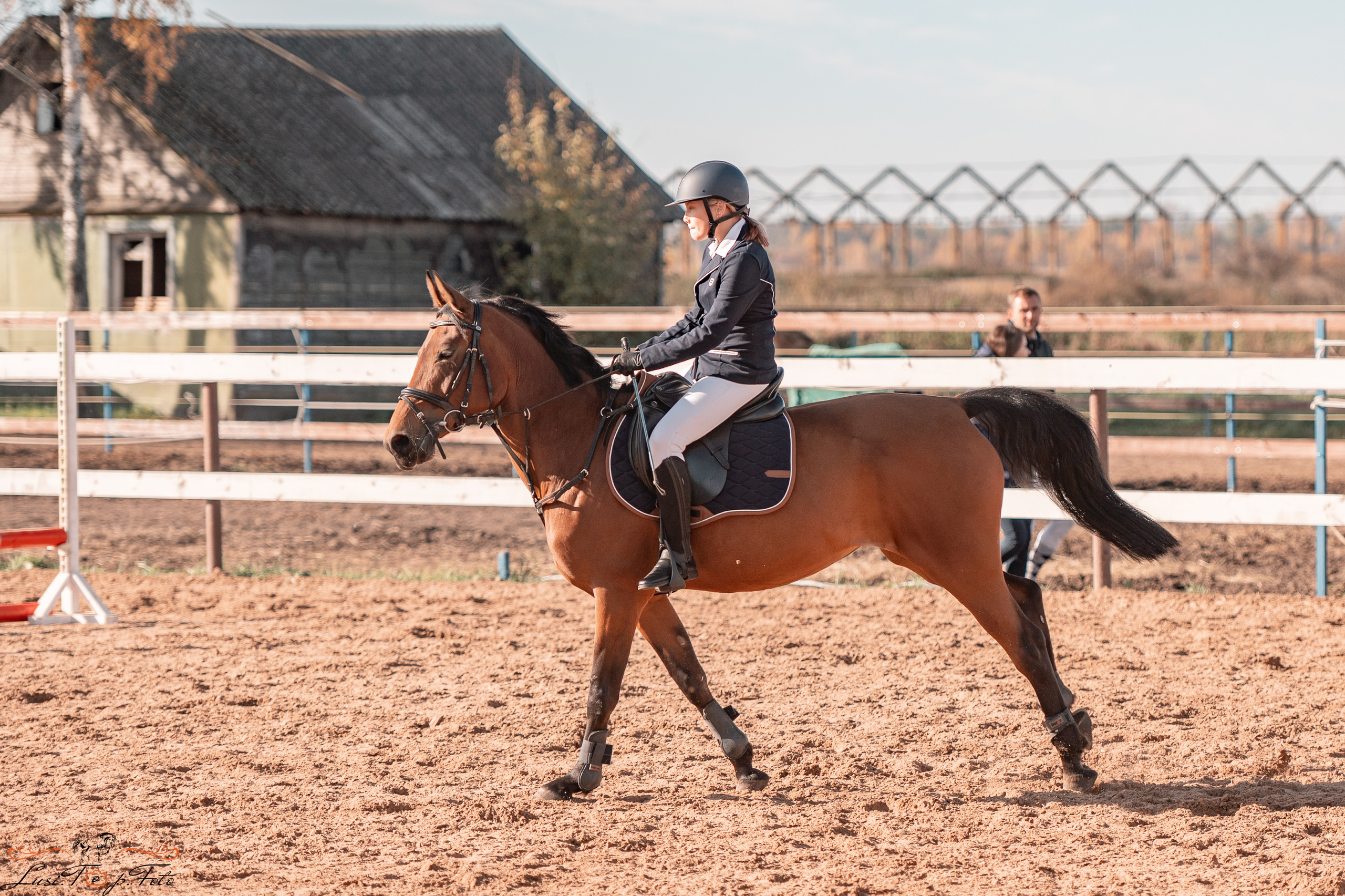 Открытая тренировка КК «Резвая». Конный и фотограф с животными в Твери Топталова Люся