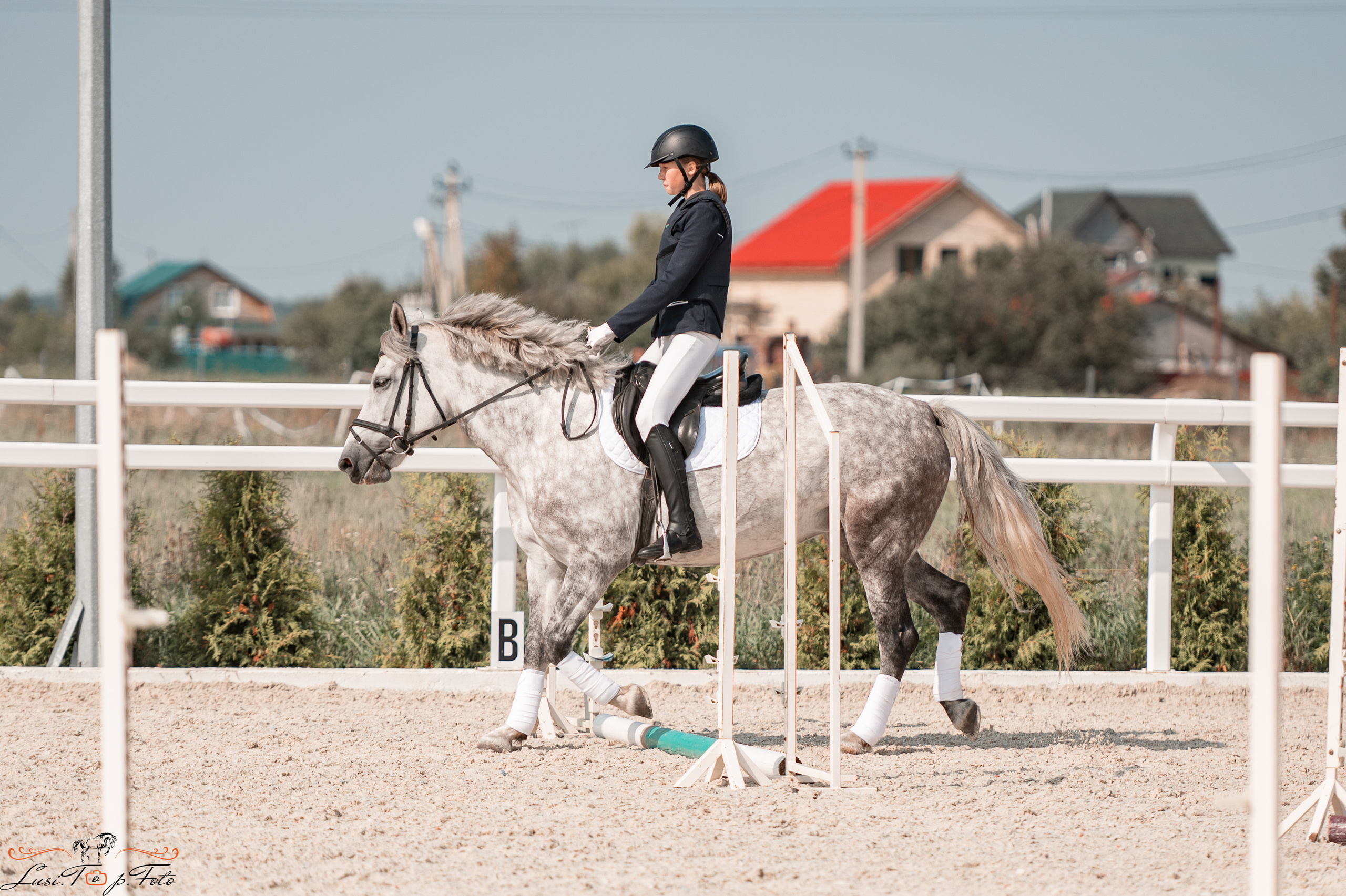Открытая тренировка по конкуру в КК Equipark. Конный и фотограф с животными в Твери Топталова Люся