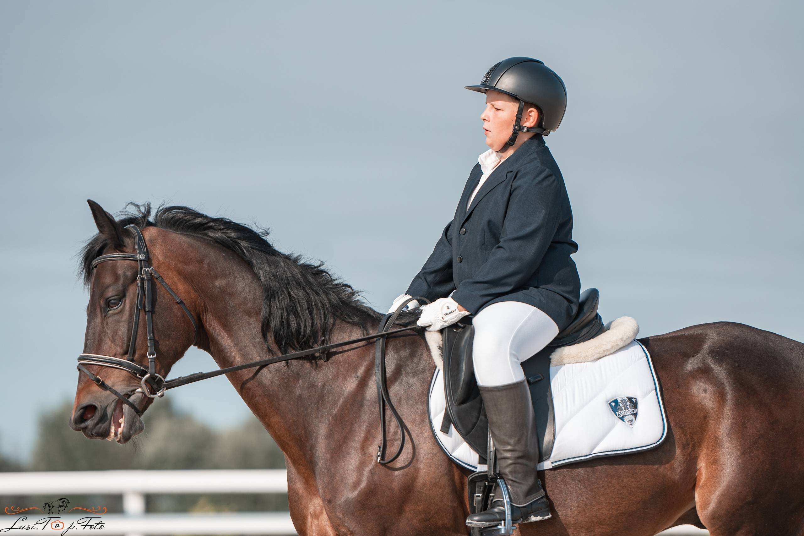 Открытая тренировка по выездке в КК Equipark. Конный и фотограф с животными в Твери Топталова Люся