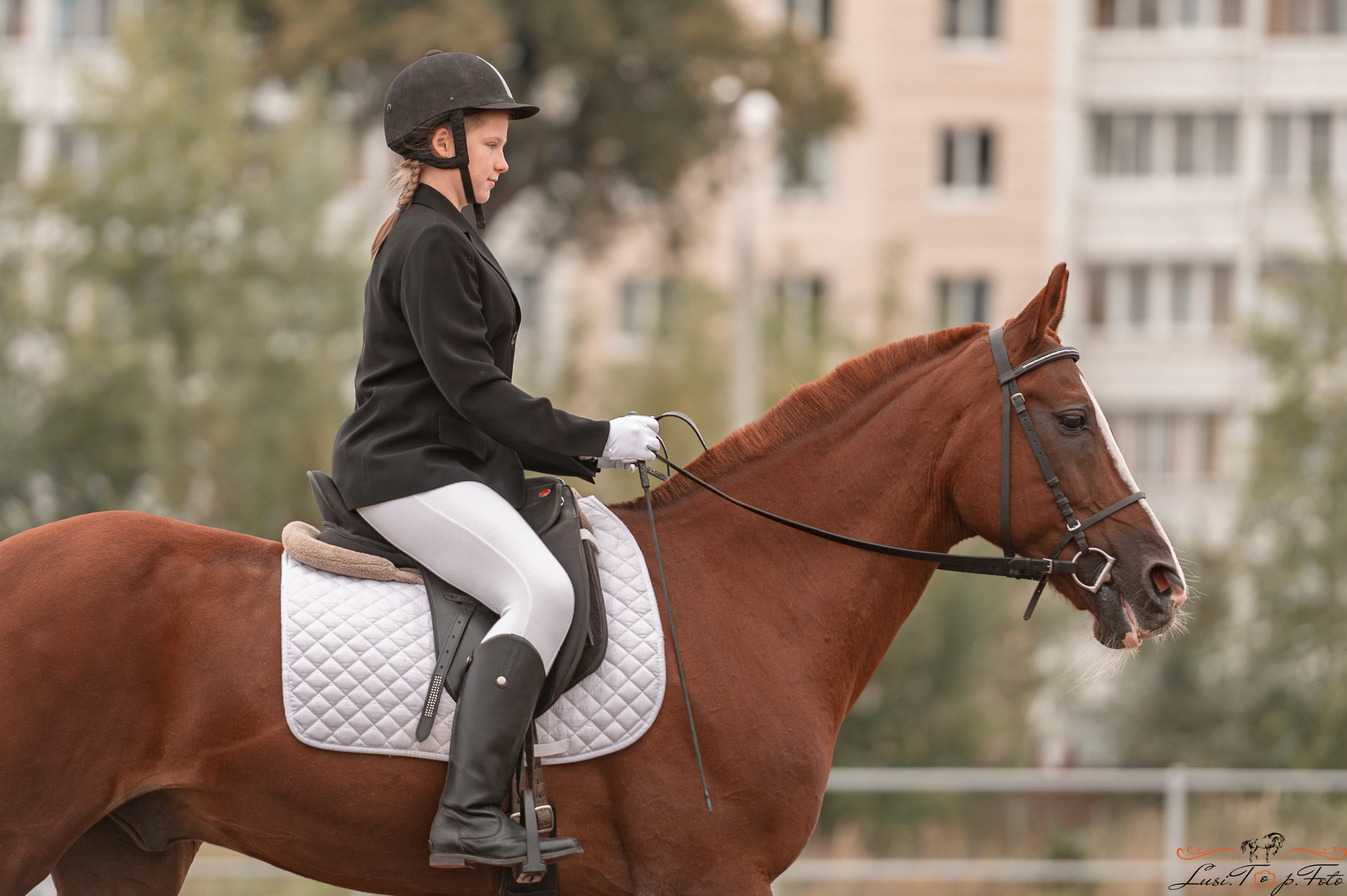 Турнир по выездке и конкуру памяти Н. Ю. Серовой (день 1 — выездка). Конный и фотограф с животными в Твери Топталова Люся