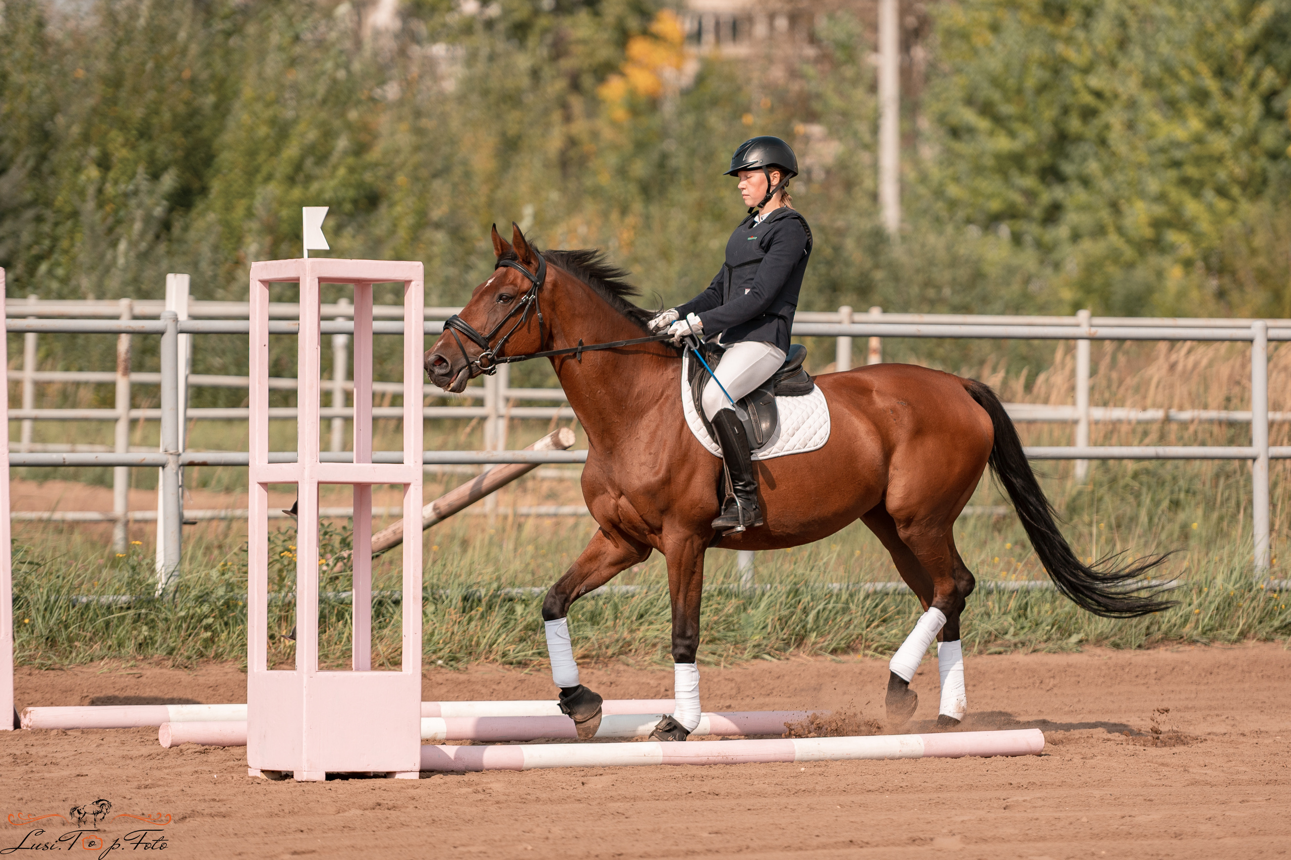 Турнир по выездке и конкуру памяти Н. Ю. Серовой (второй день — конкур). Конный и фотограф с животными в Твери Топталова Люся