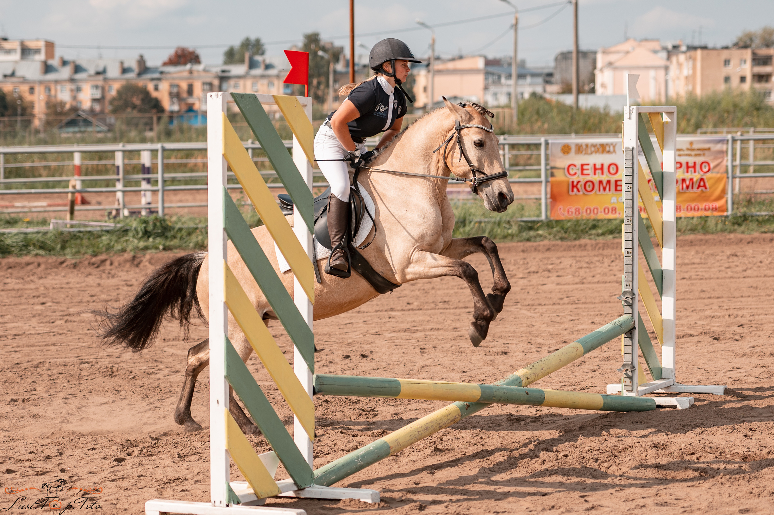 Турнир по выездке и конкуру памяти Н. Ю. Серовой (второй день — конкур). Конный и фотограф с животными в Твери Топталова Люся