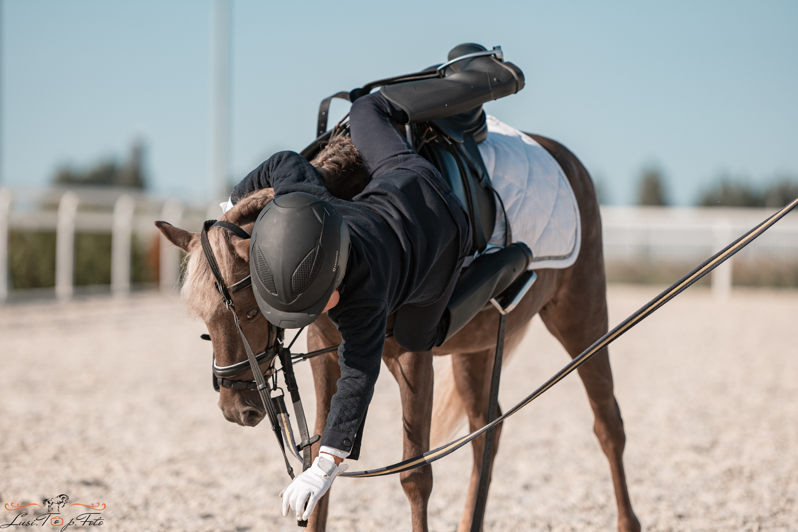 Открытая тренировка по выездке в КК Equipark. Конный и фотограф с животными в Твери Топталова Люся