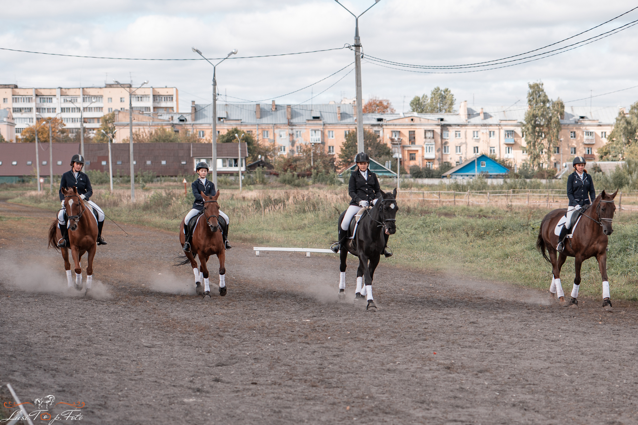 День лошади 2021. Конный и фотограф с животными в Твери Топталова Люся