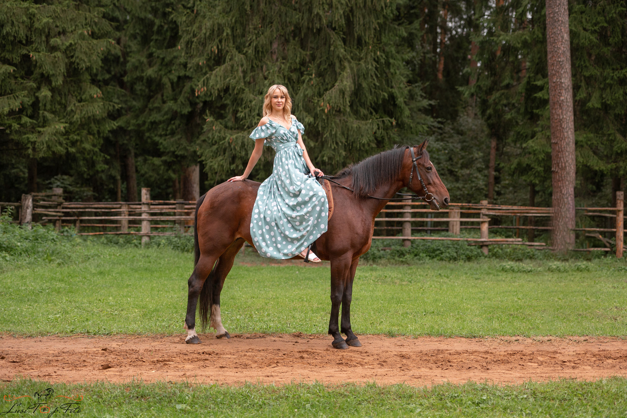 Фотосессия под моросящим дождиком. Конный и фотограф с животными в Твери Топталова Люся