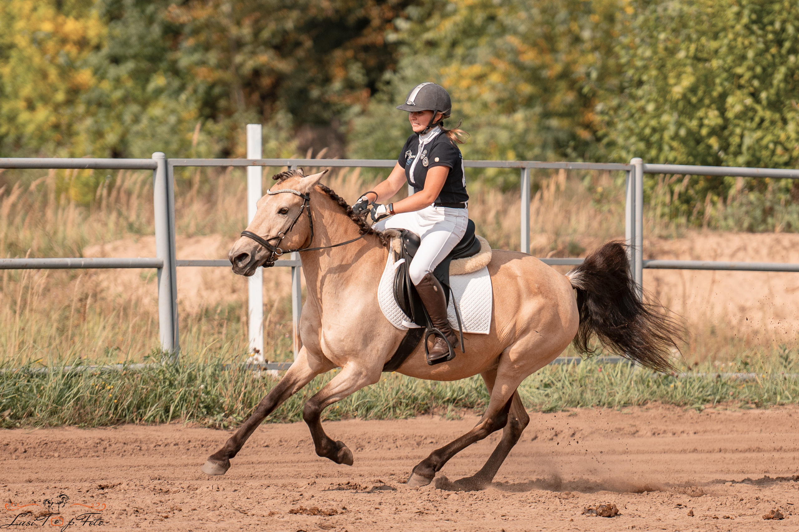 Турнир по выездке и конкуру памяти Н. Ю. Серовой (второй день — конкур). Конный и фотограф с животными в Твери Топталова Люся