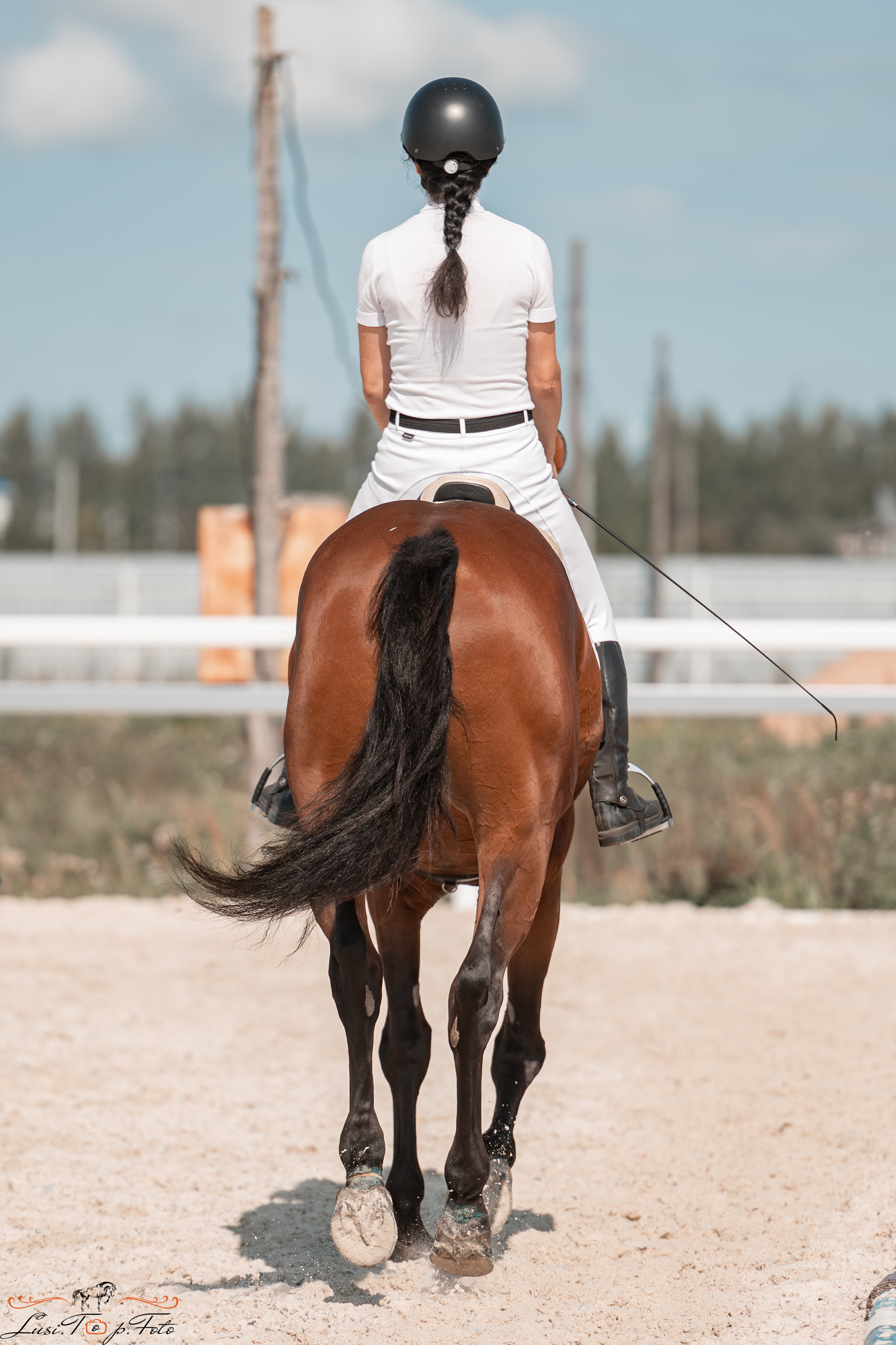 Открытая тренировка по выездке в КК Equipark. Конный и фотограф с животными в Твери Топталова Люся