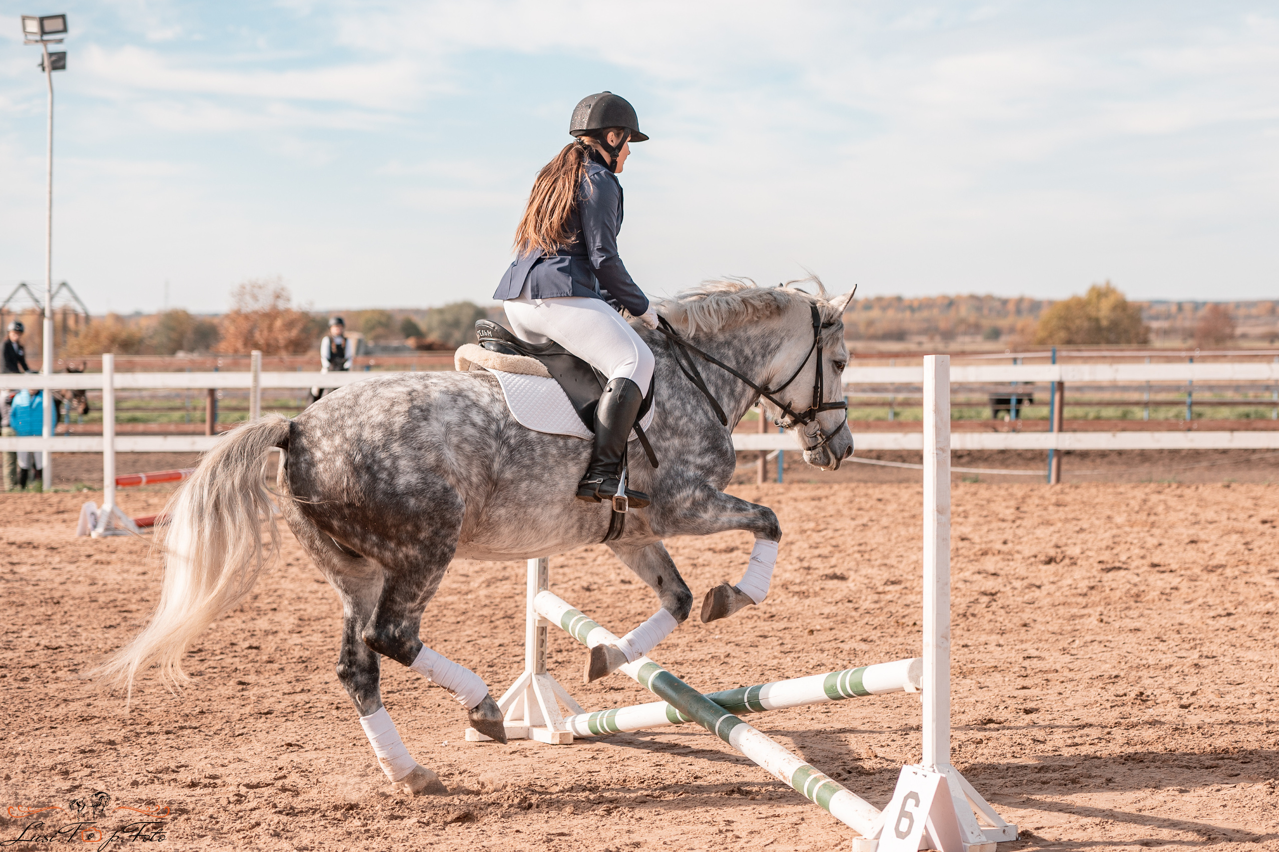 Открытая тренировка КК «Резвая». Конный и фотограф с животными в Твери Топталова Люся