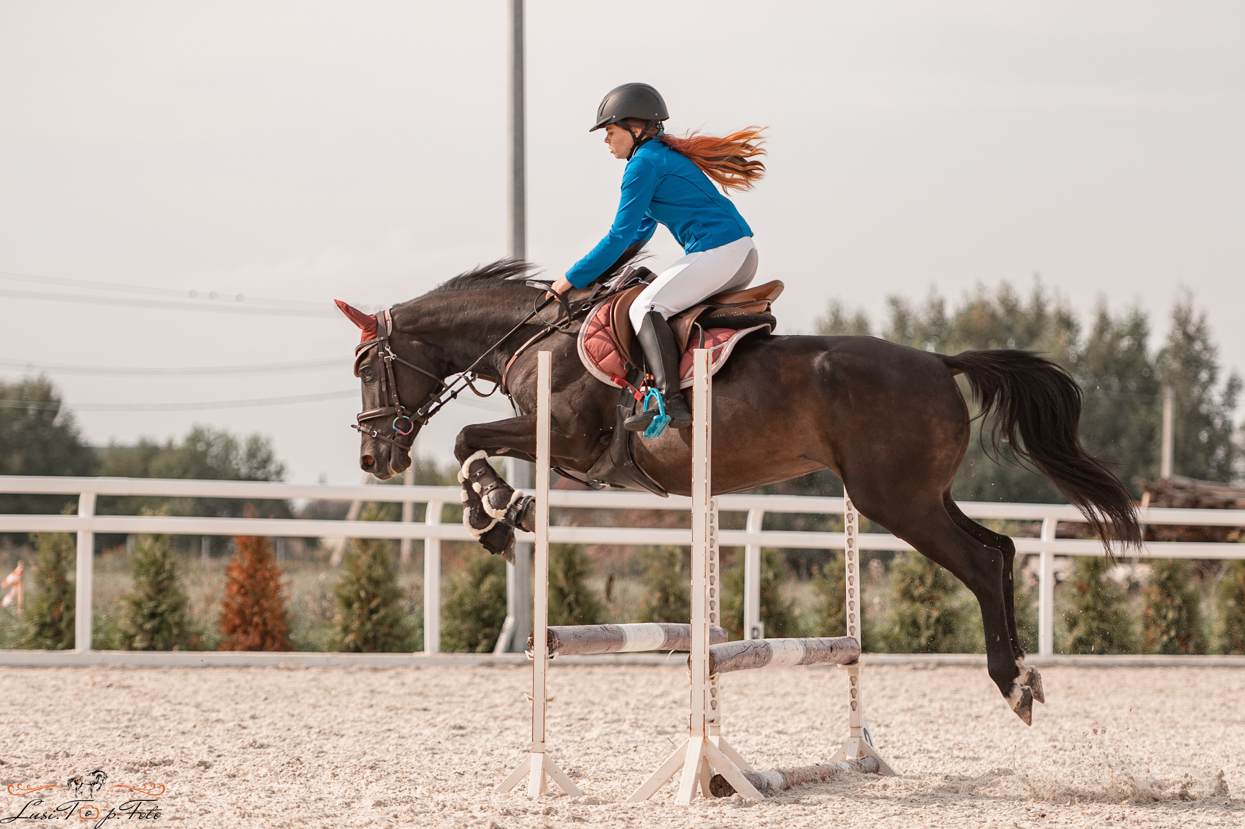 Открытая тренировка по конкуру в КК Equipark. Конный и фотограф с животными в Твери Топталова Люся