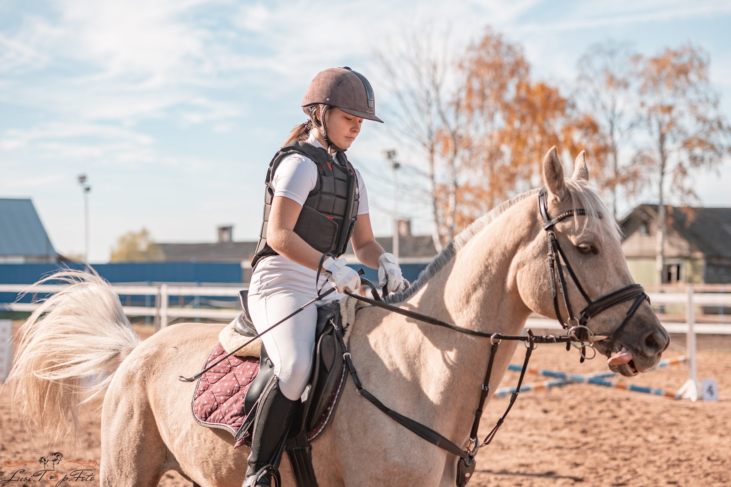 Открытая тренировка КК «Резвая». Конный и фотограф с животными в Твери Топталова Люся