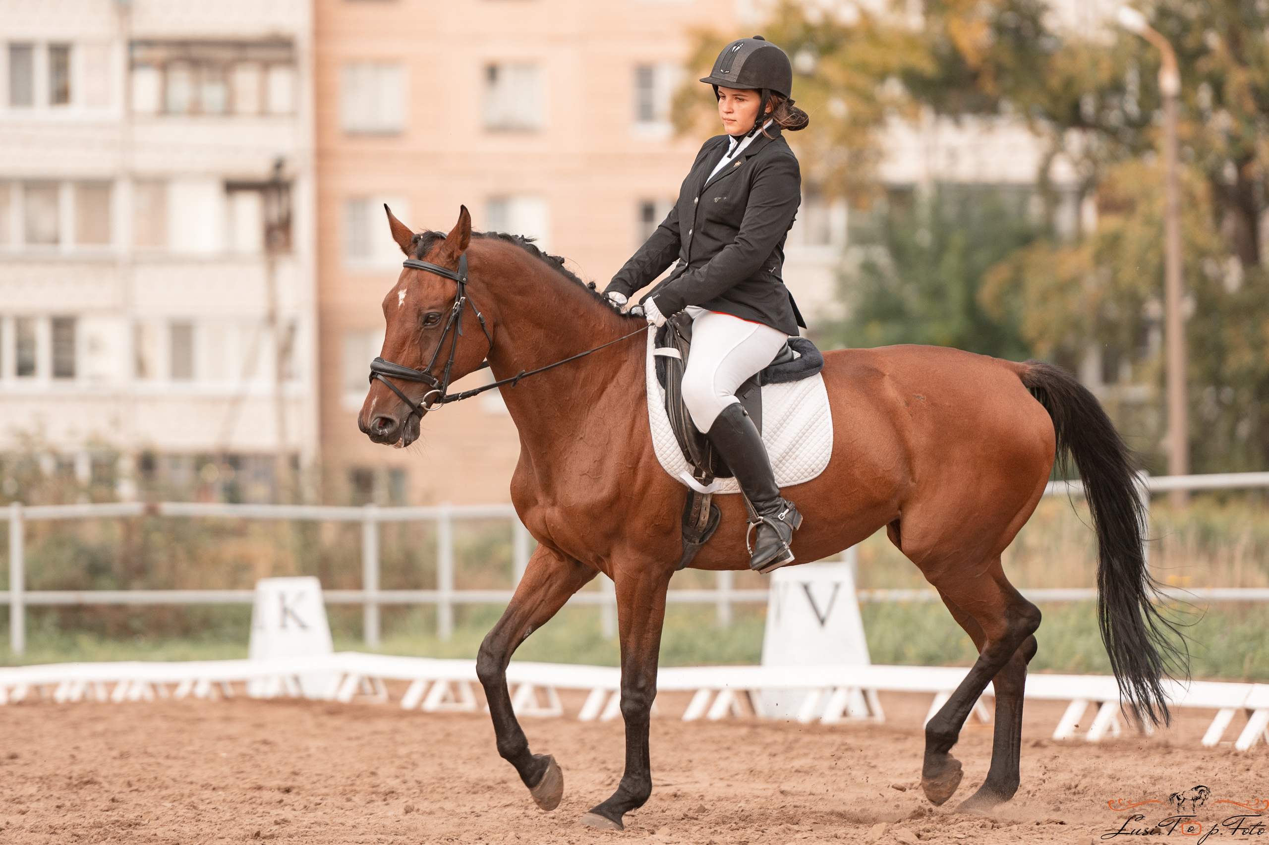Турнир по выездке и конкуру памяти Н. Ю. Серовой (день 1 — выездка). Конный и фотограф с животными в Твери Топталова Люся