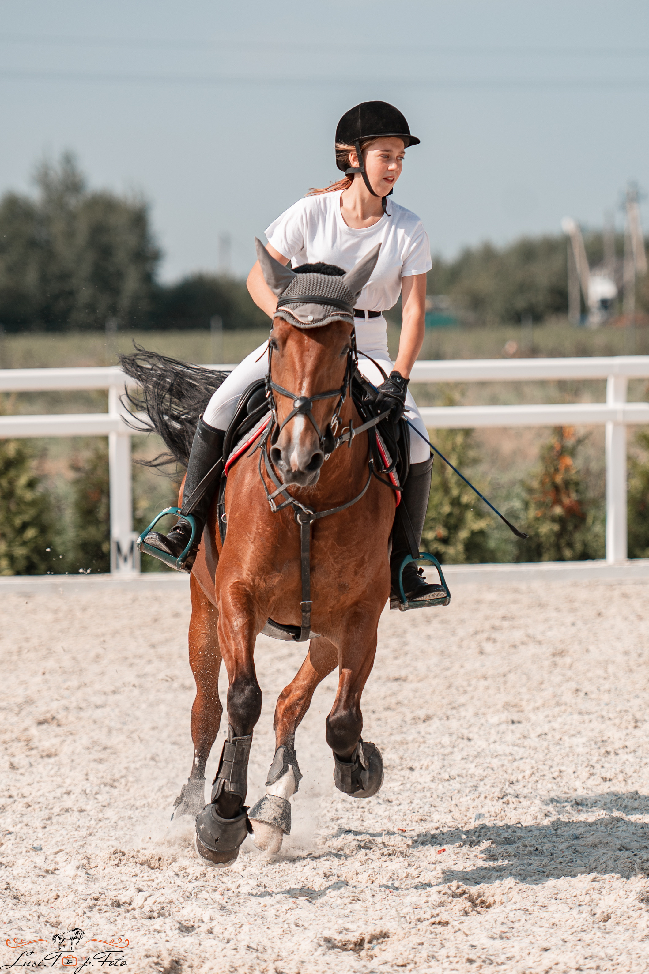 Открытая тренировка по конкуру в КК Equipark. Конный и фотограф с животными в Твери Топталова Люся
