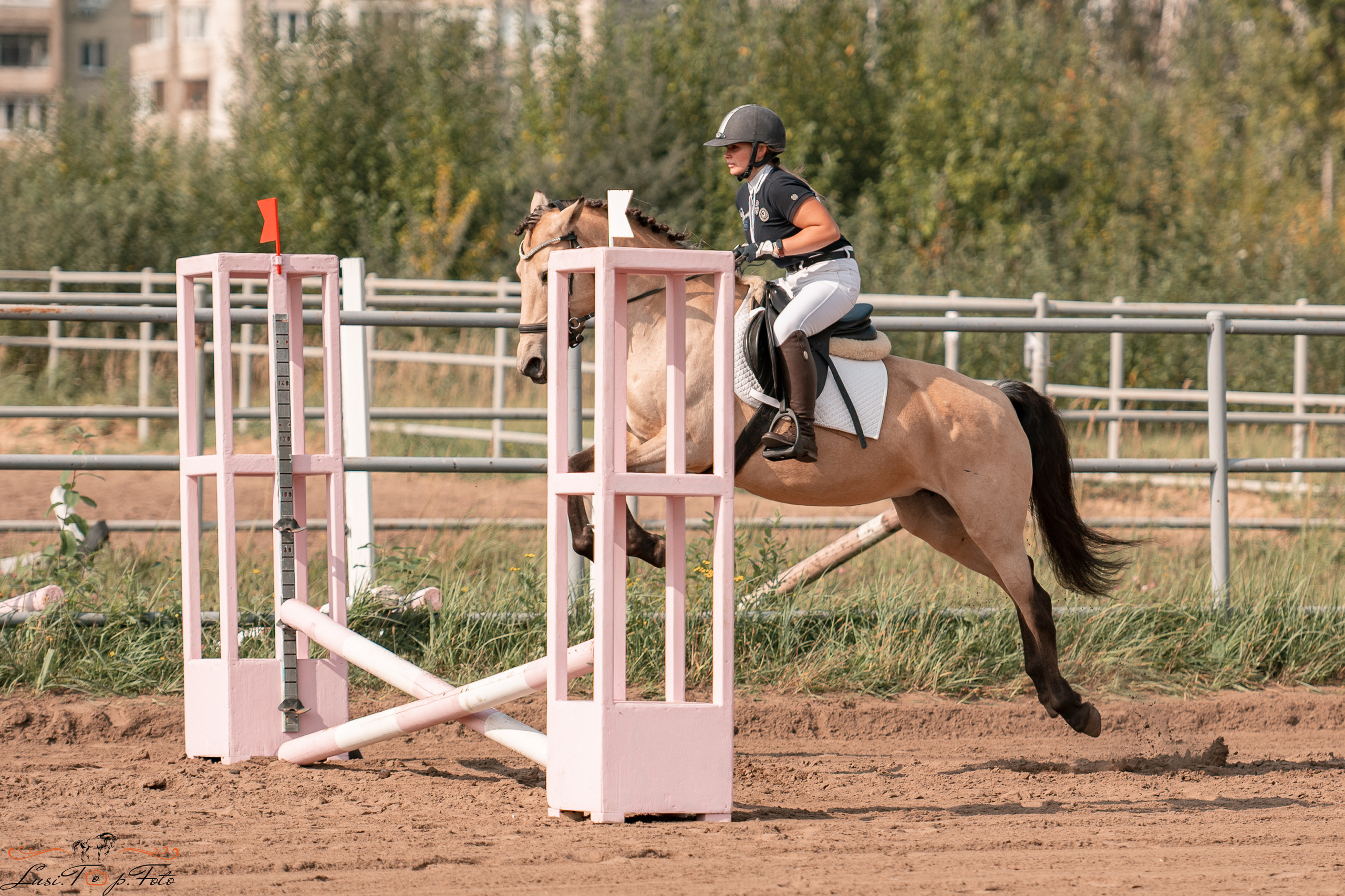 Турнир по выездке и конкуру памяти Н. Ю. Серовой (второй день — конкур). Конный и фотограф с животными в Твери Топталова Люся