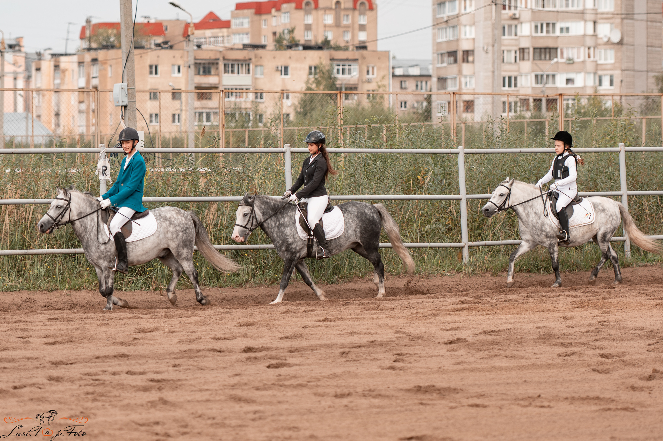 Турнир по выездке и конкуру памяти Н. Ю. Серовой (второй день — конкур). Конный и фотограф с животными в Твери Топталова Люся