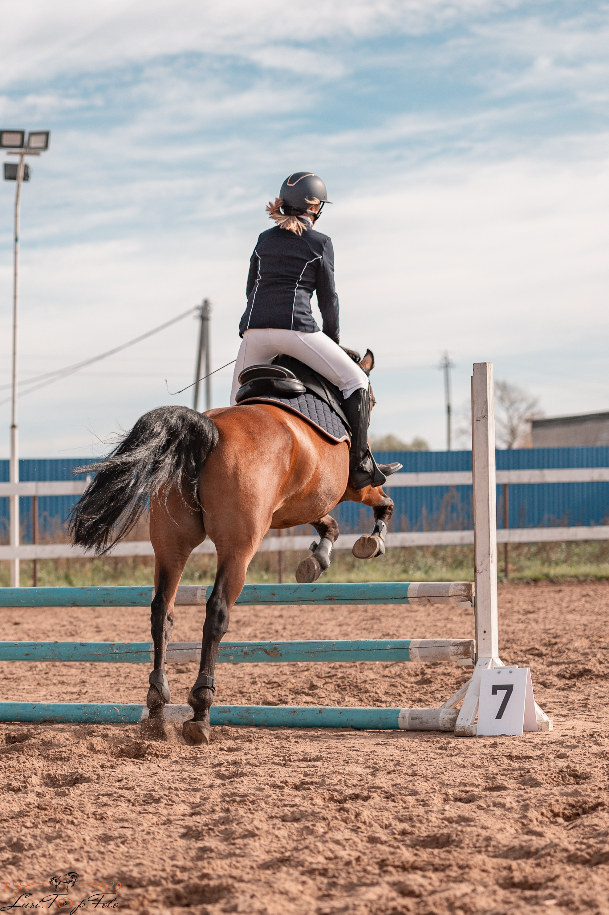 Открытая тренировка КК «Резвая». Конный и фотограф с животными в Твери Топталова Люся