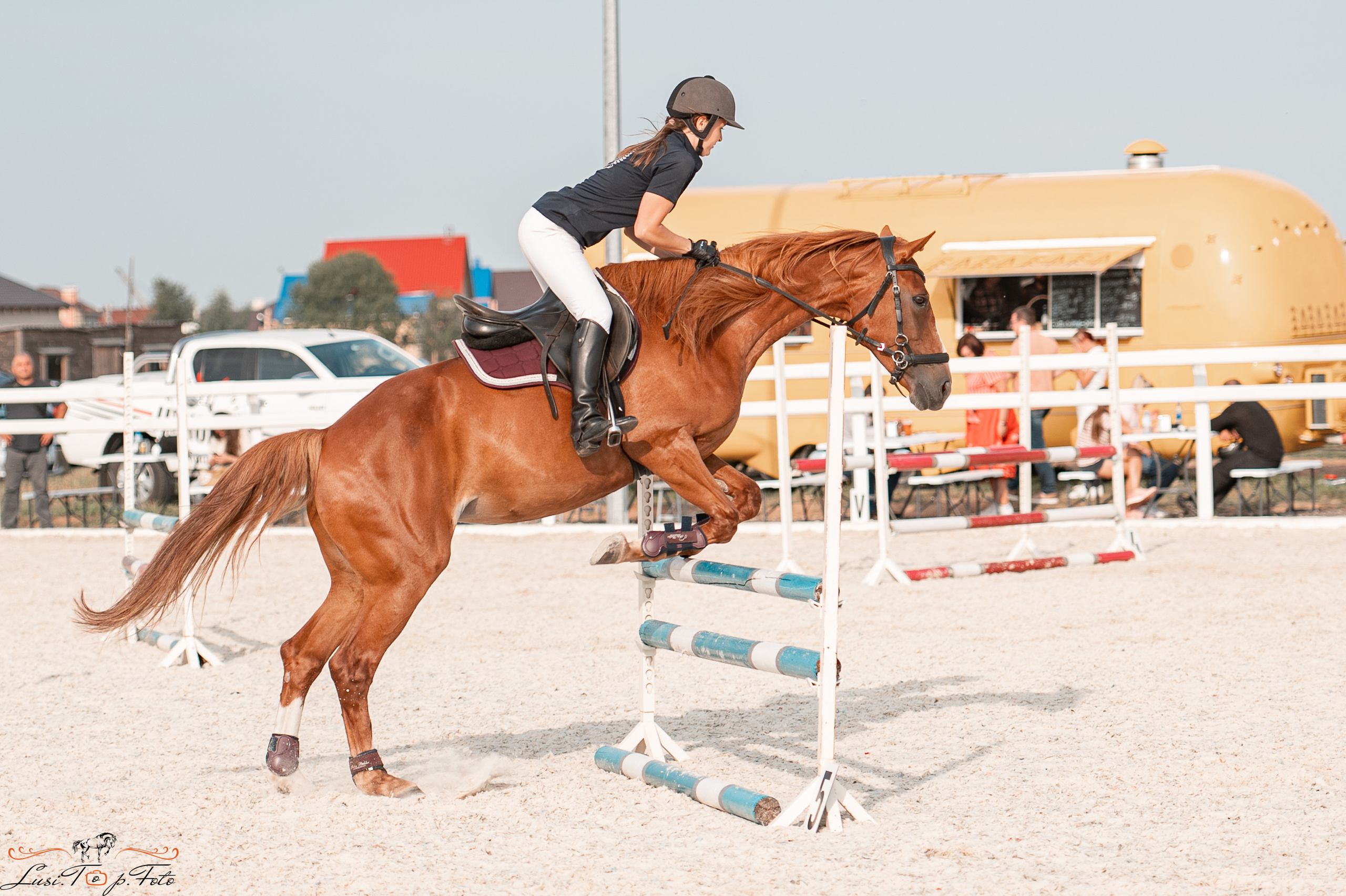 Открытая тренировка по конкуру в КК Equipark. Конный и фотограф с животными в Твери Топталова Люся
