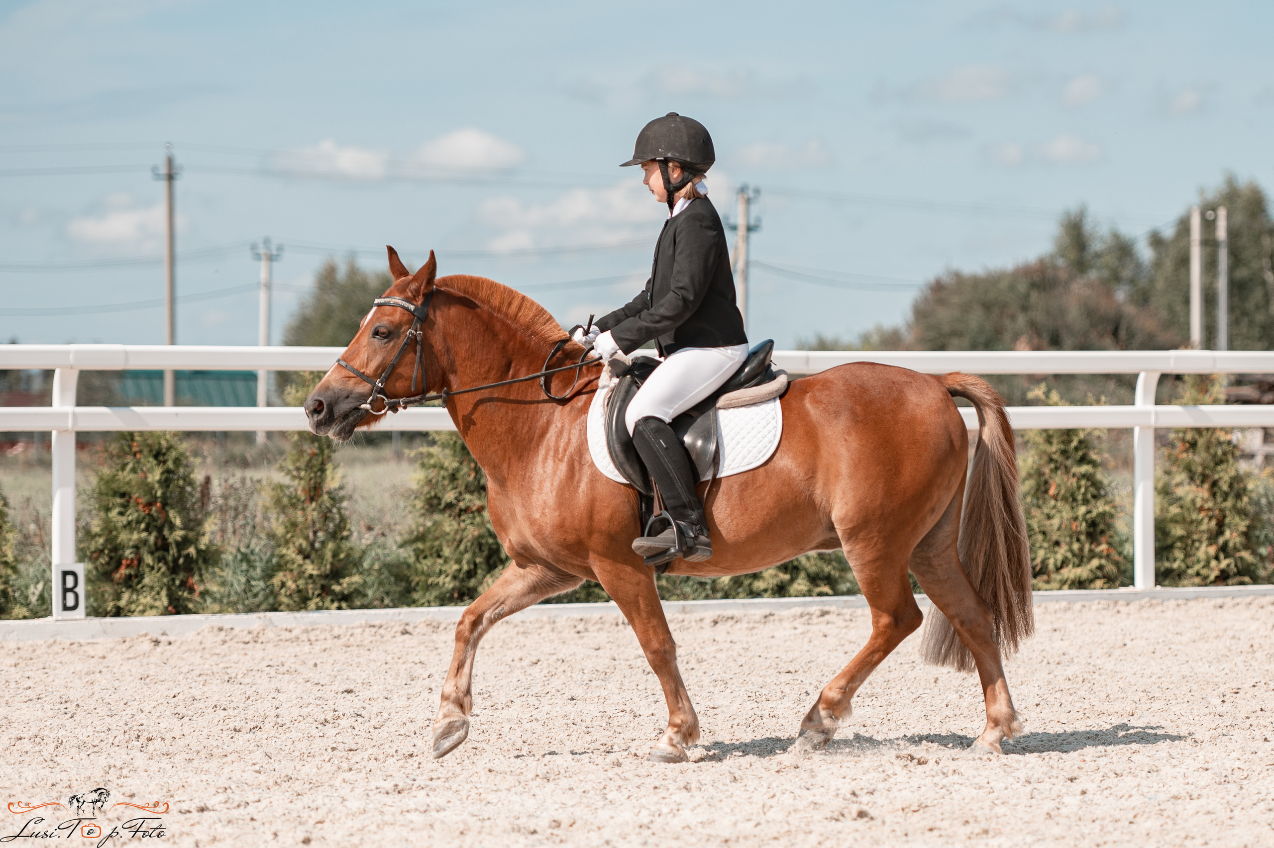 Открытая тренировка по выездке в КК Equipark. Конный и фотограф с животными в Твери Топталова Люся