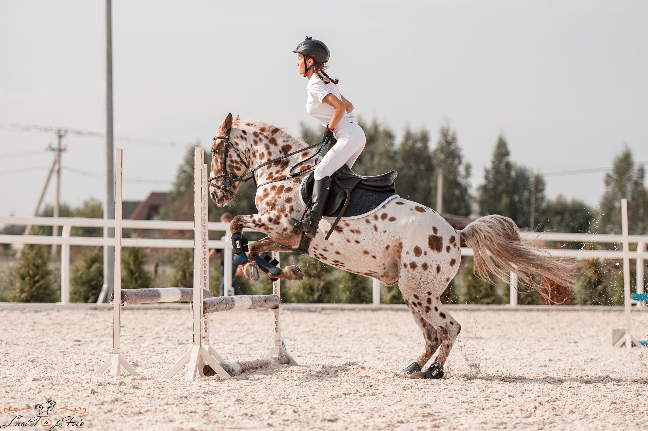 Открытая тренировка по конкуру в КК Equipark. Конный и фотограф с животными в Твери Топталова Люся