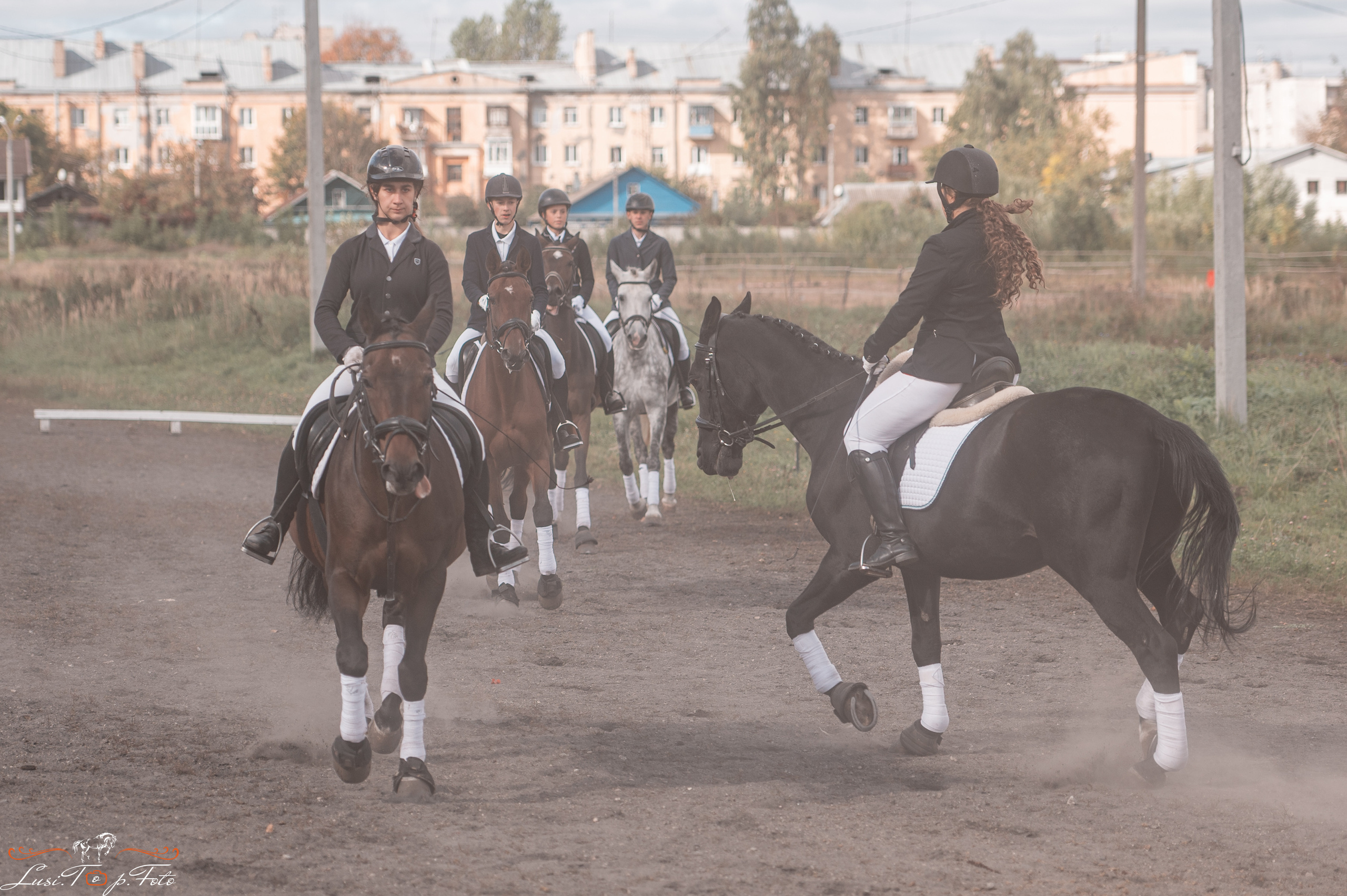 День лошади 2021. Конный и фотограф с животными в Твери Топталова Люся