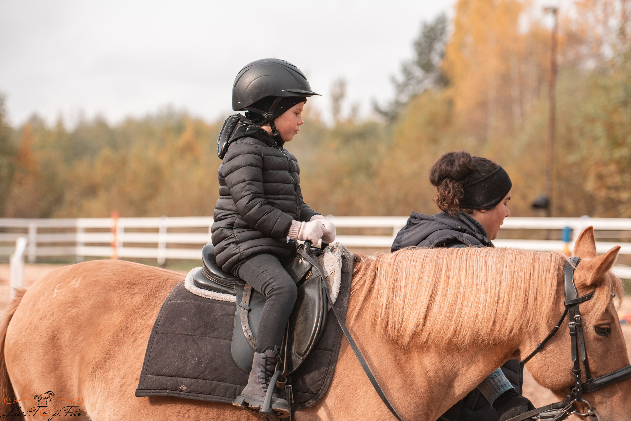 КК Траверсале Конкур. Конный и фотограф с животными в Твери Топталова Люся