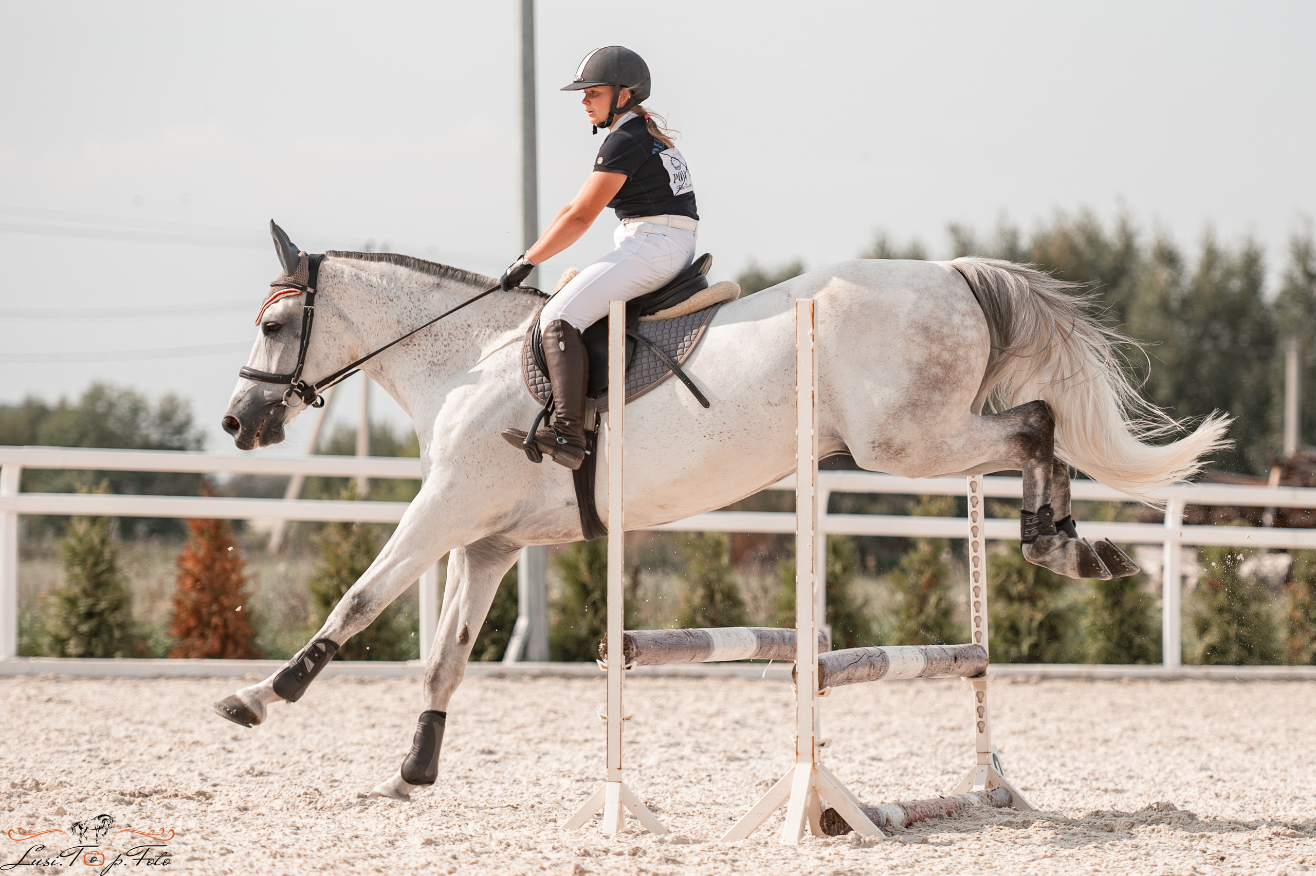 Открытая тренировка по конкуру в КК Equipark. Конный и фотограф с животными в Твери Топталова Люся