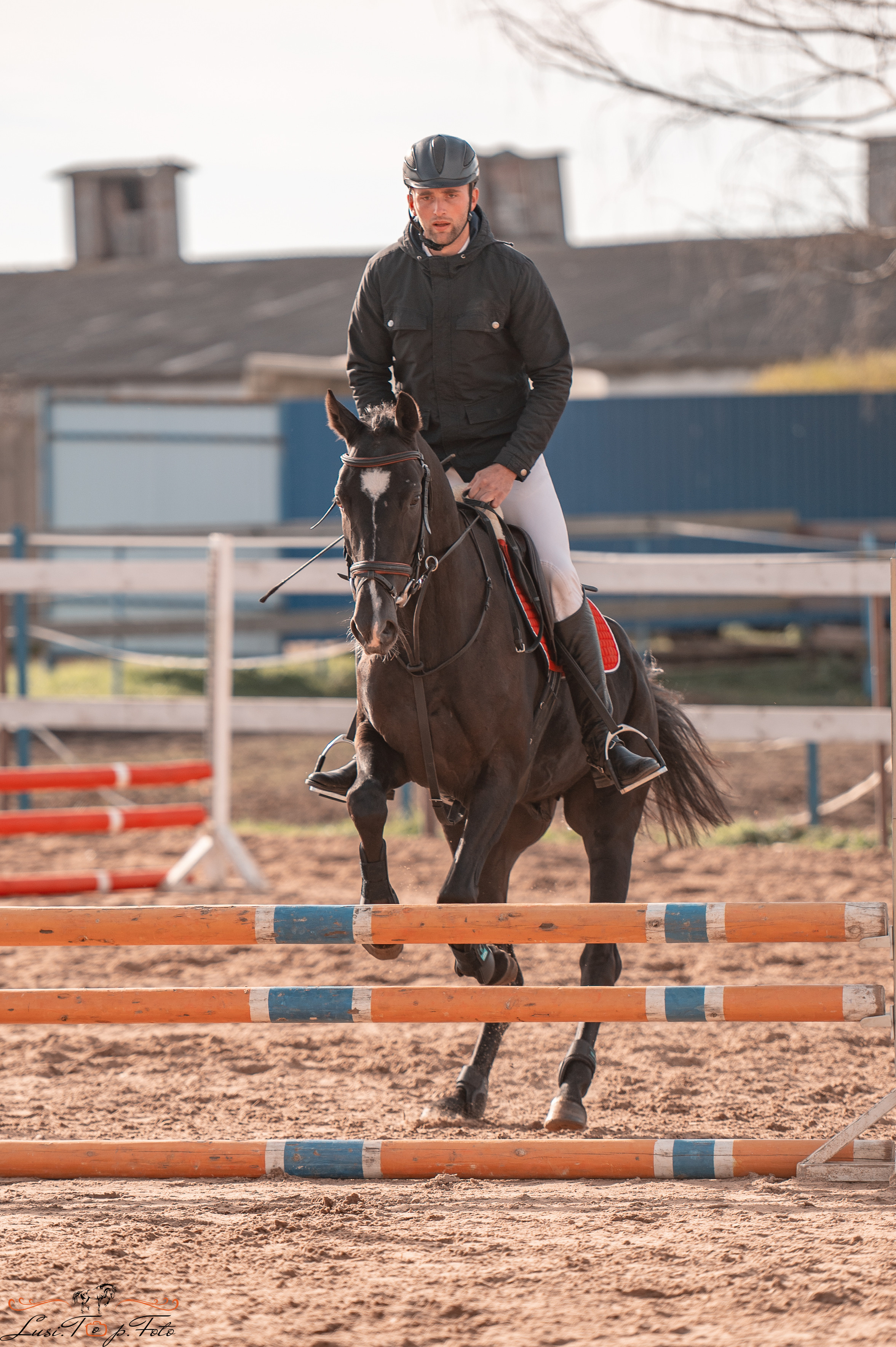 Открытая тренировка КК «Резвая». Конный и фотограф с животными в Твери Топталова Люся