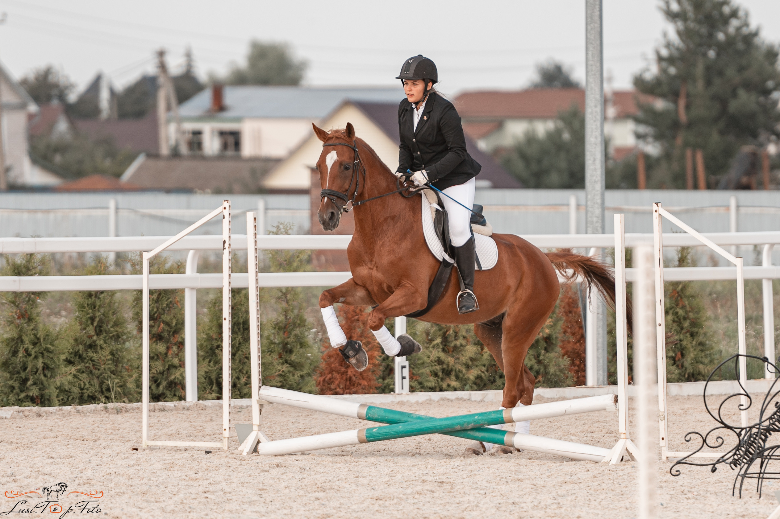 Открытая тренировка по конкуру в КК Equipark. Конный и фотограф с животными в Твери Топталова Люся