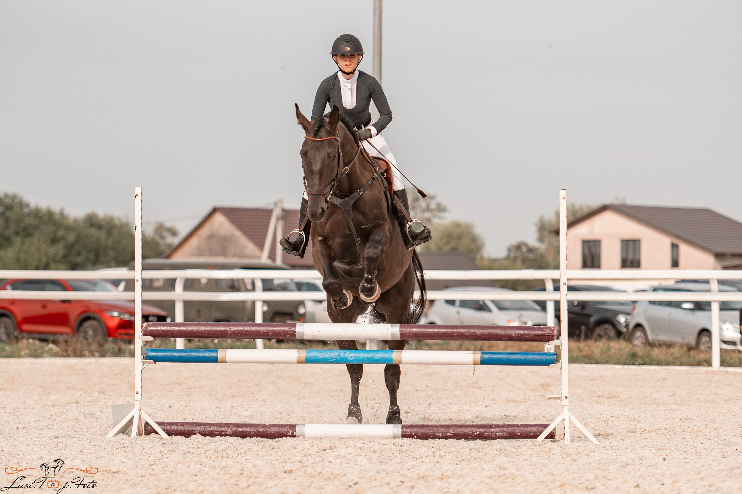 Открытая тренировка по конкуру в КК Equipark. Конный и фотограф с животными в Твери Топталова Люся
