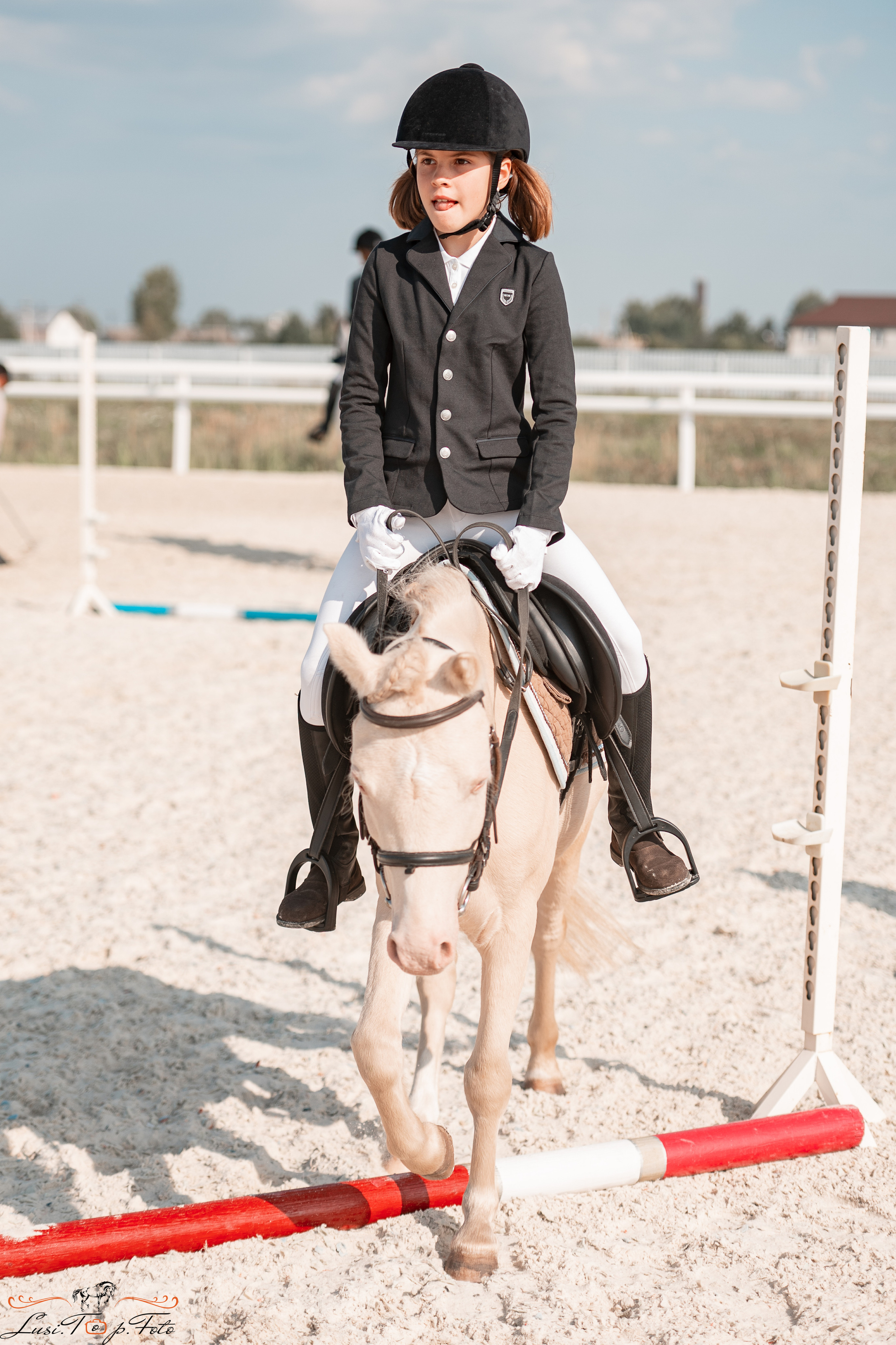 Открытая тренировка по конкуру в КК Equipark. Конный и фотограф с животными в Твери Топталова Люся