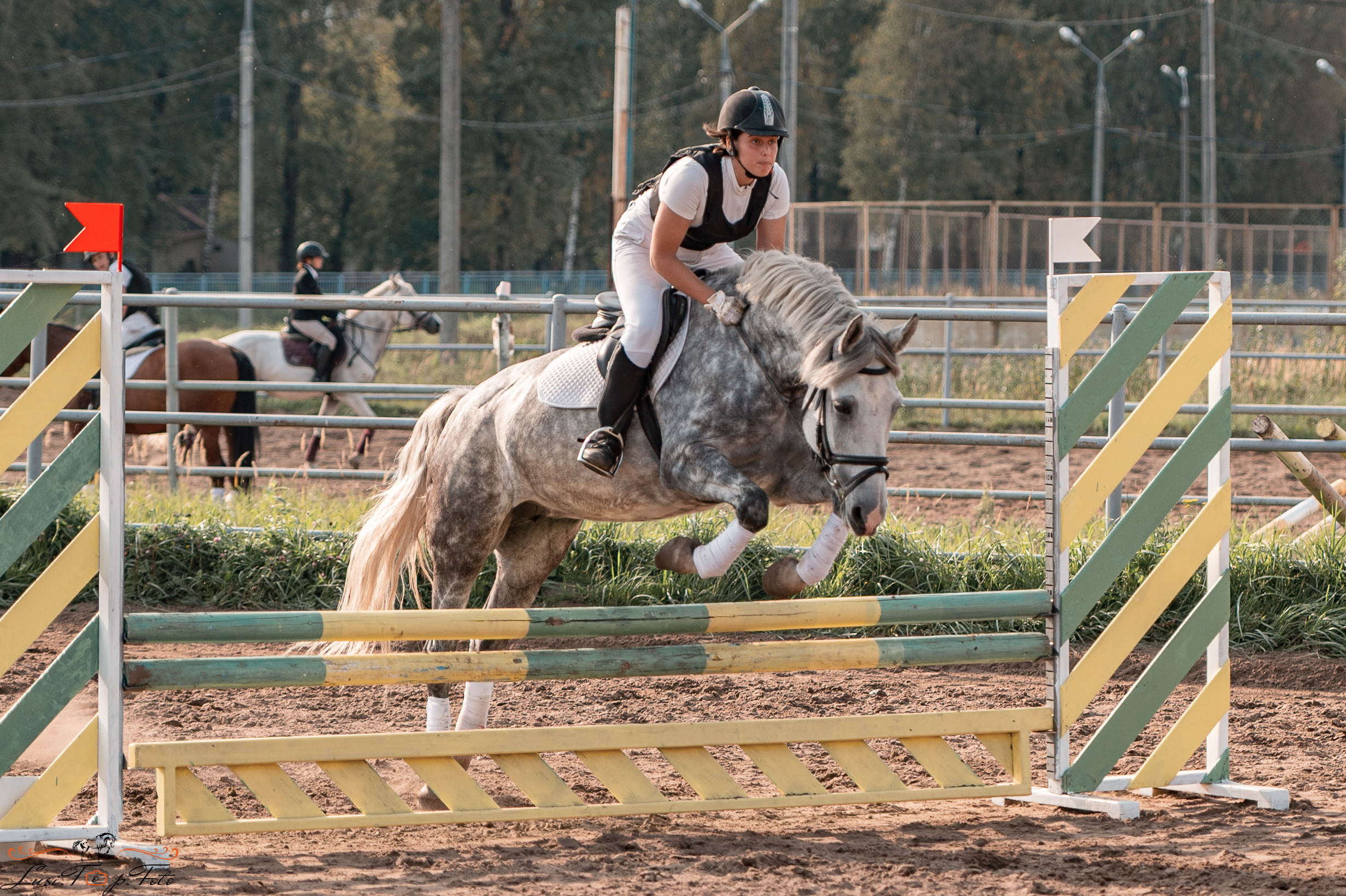 Турнир по выездке и конкуру памяти Н. Ю. Серовой (второй день — конкур). Конный и фотограф с животными в Твери Топталова Люся