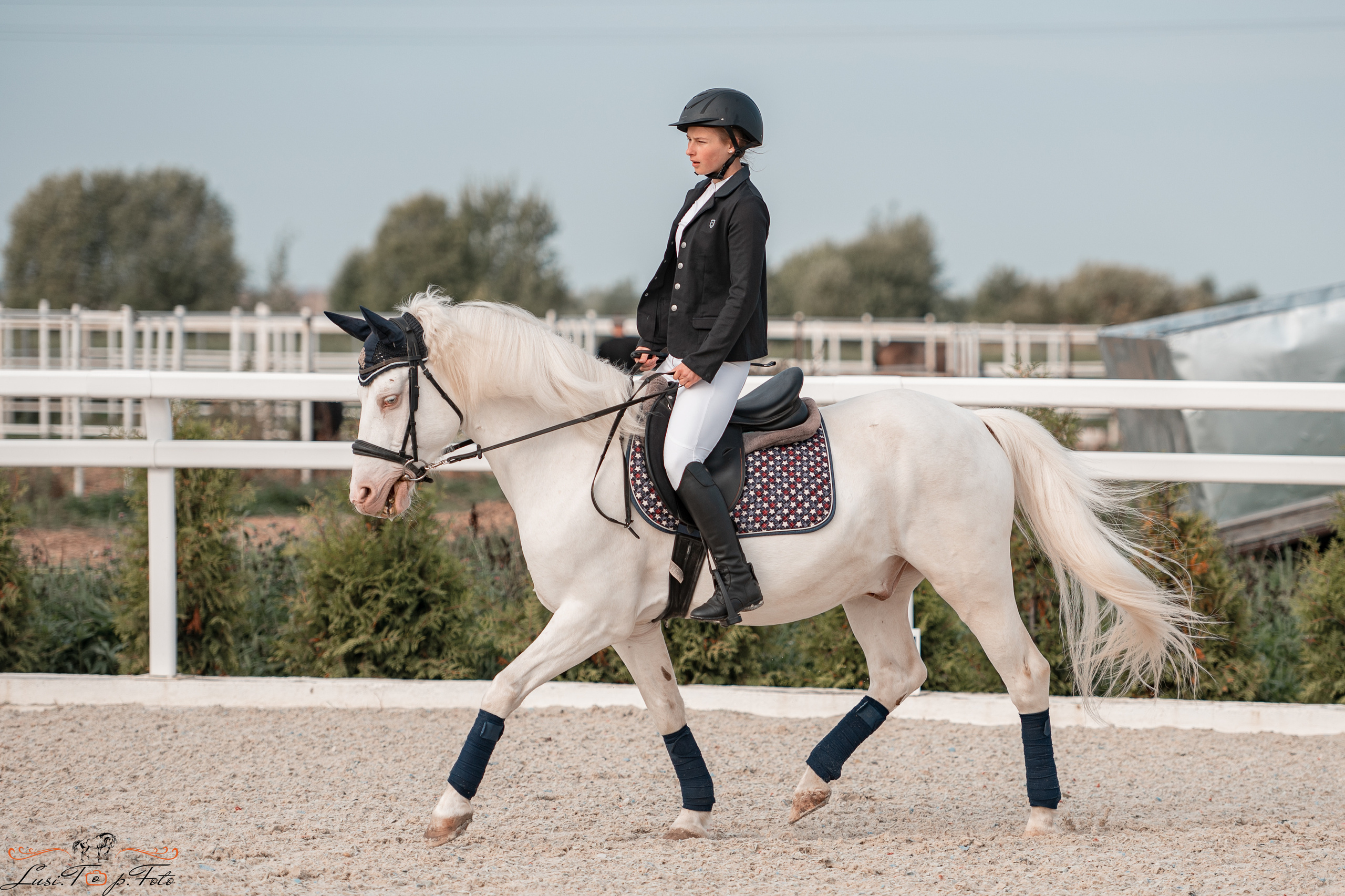 Открытая тренировка по конкуру в КК Equipark. Конный и фотограф с животными в Твери Топталова Люся