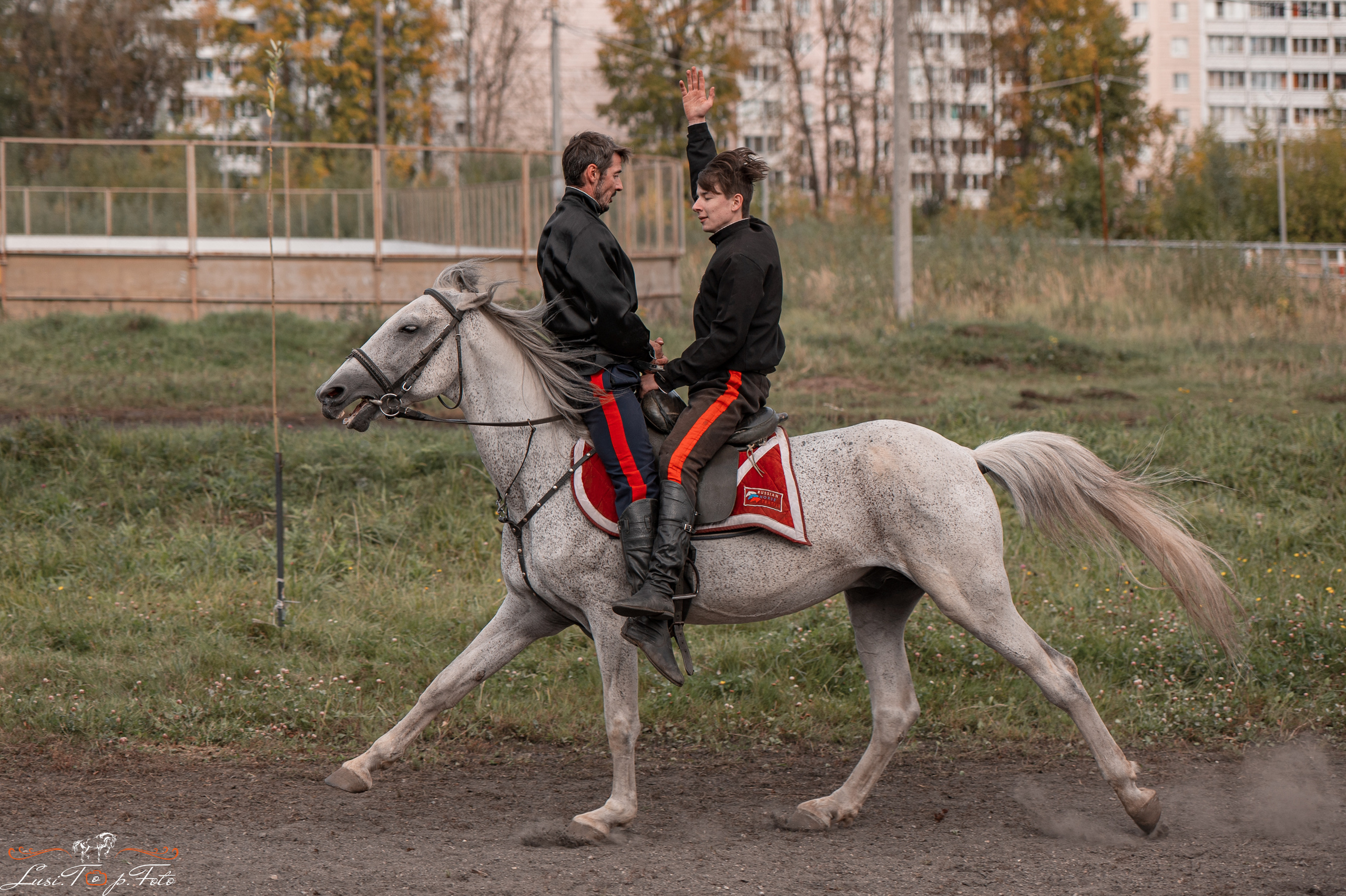 День лошади 2021. Конный и фотограф с животными в Твери Топталова Люся