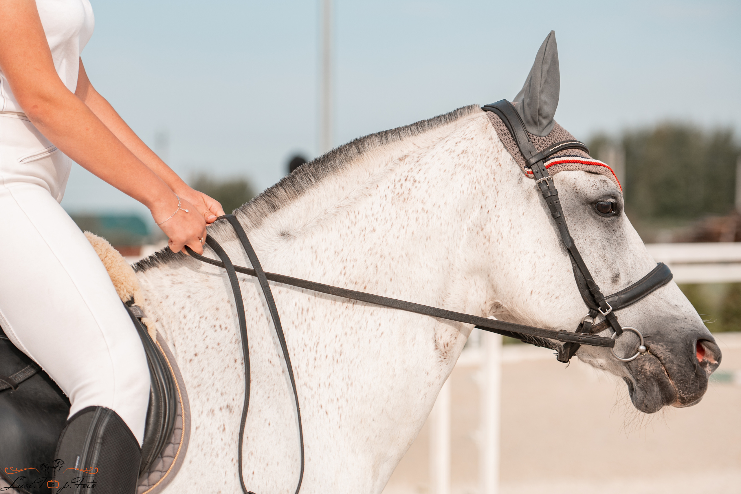 Открытая тренировка по конкуру в КК Equipark. Конный и фотограф с животными в Твери Топталова Люся