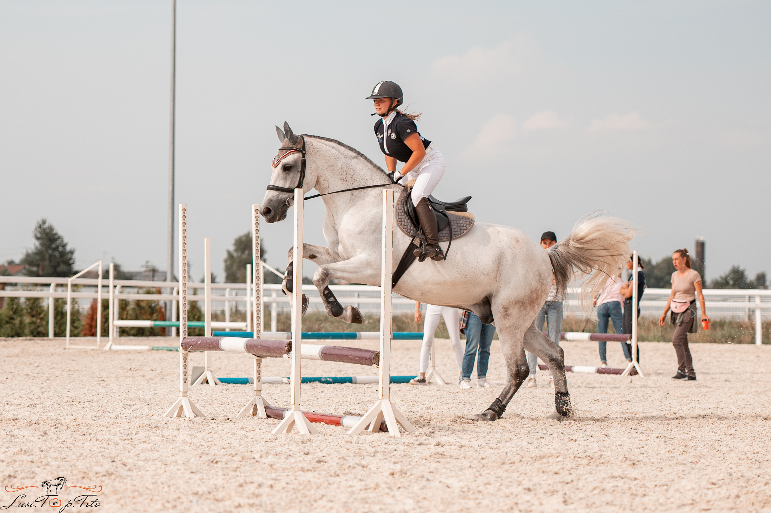 Открытая тренировка по конкуру в КК Equipark. Конный и фотограф с животными в Твери Топталова Люся