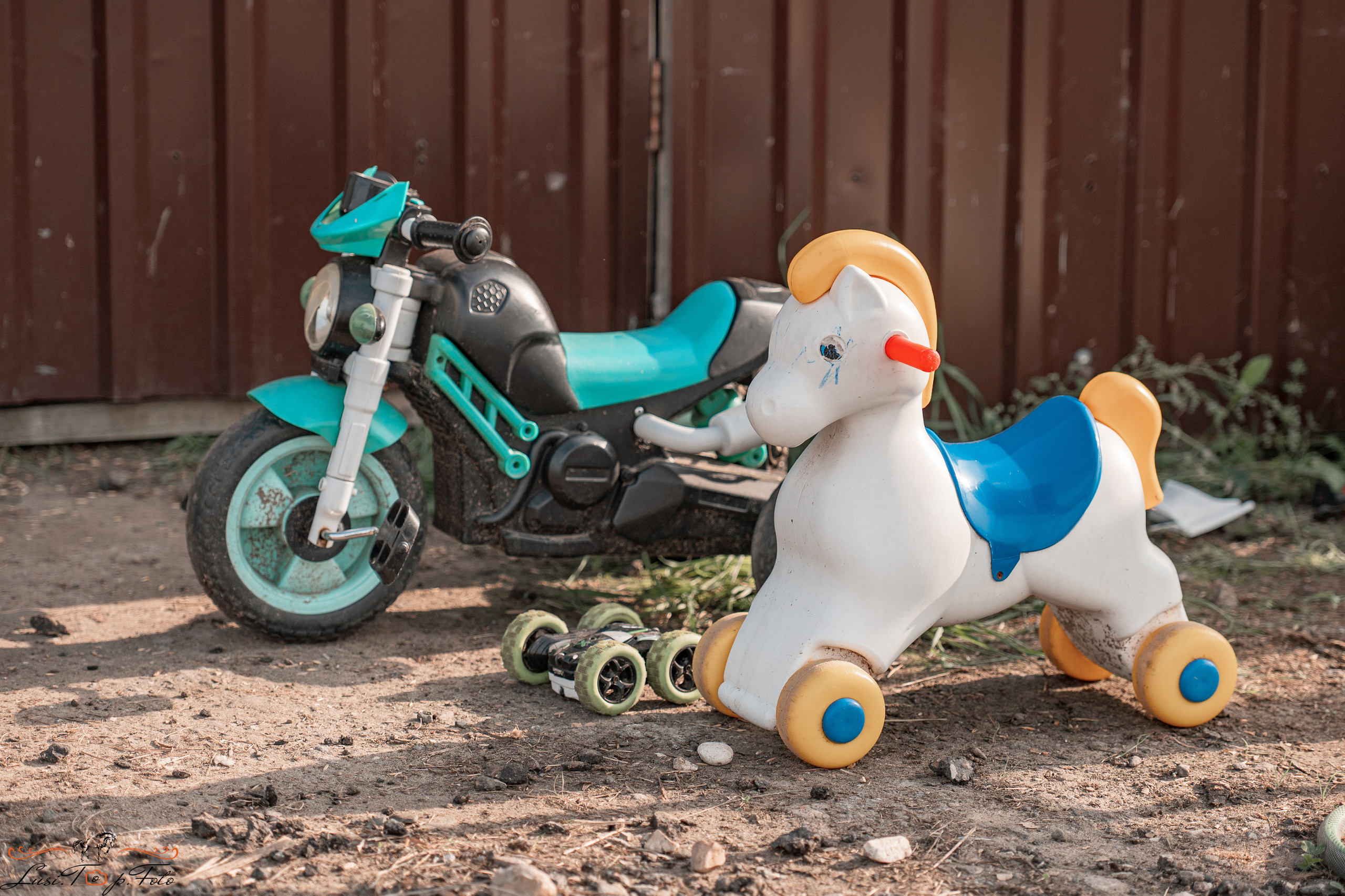 Открытая тренировка по конкуру в КК Equipark. Конный и фотограф с животными в Твери Топталова Люся