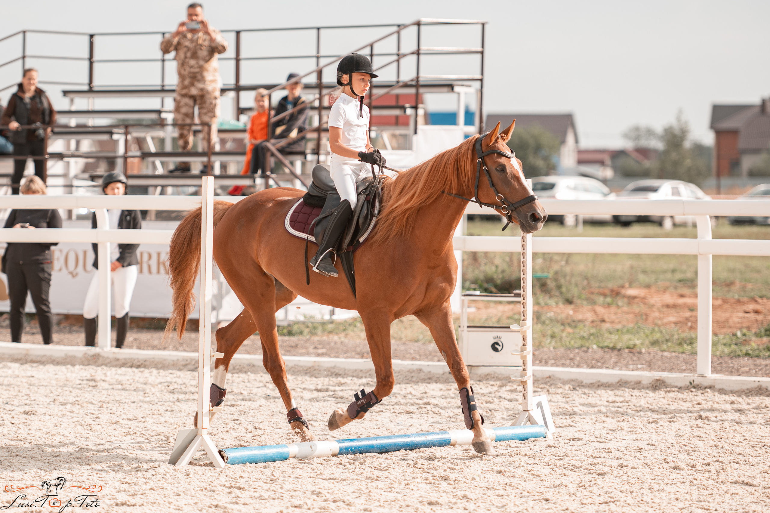 Открытая тренировка по конкуру в КК Equipark. Конный и фотограф с животными в Твери Топталова Люся