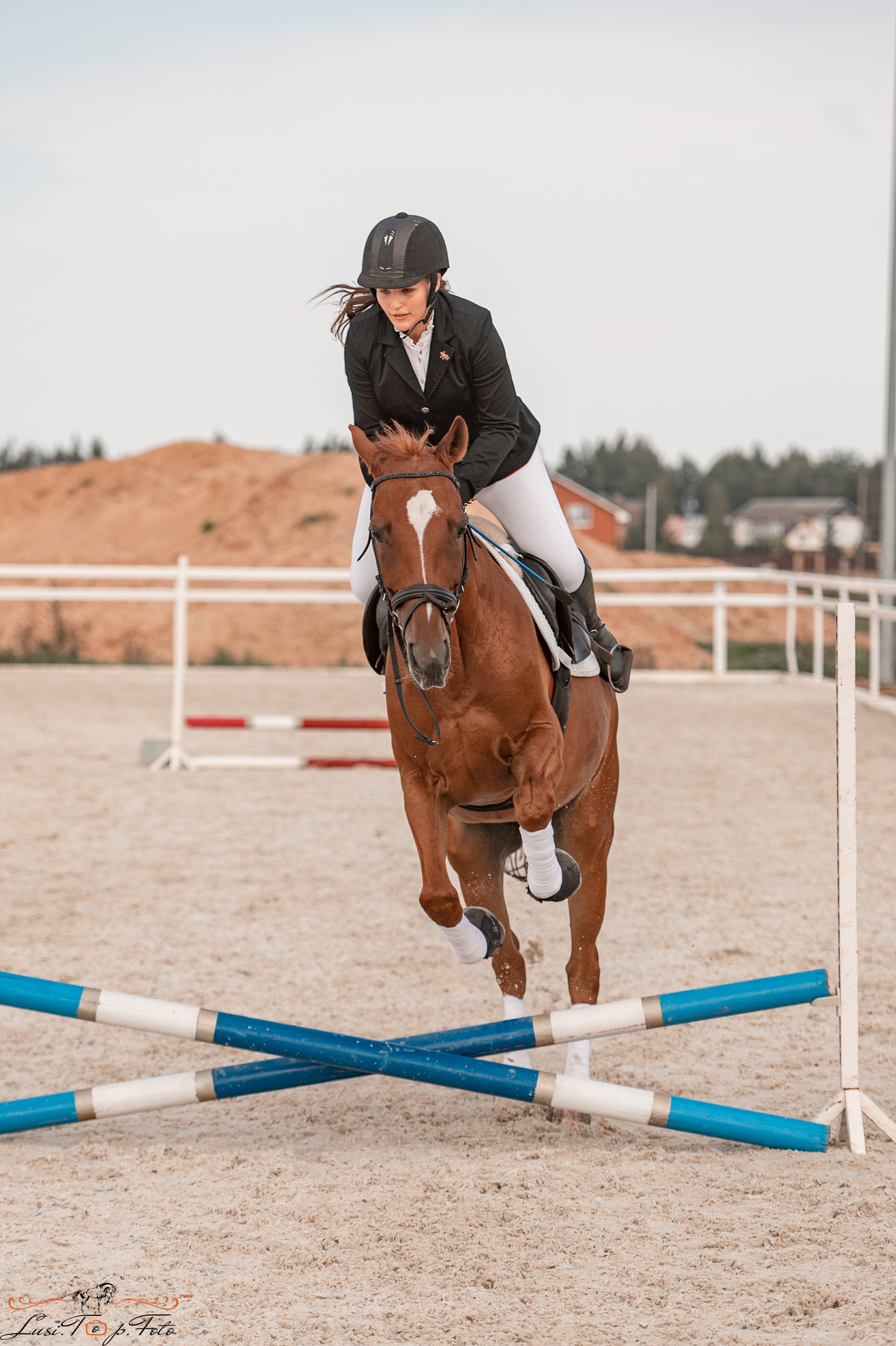 Открытая тренировка по конкуру в КК Equipark. Конный и фотограф с животными в Твери Топталова Люся