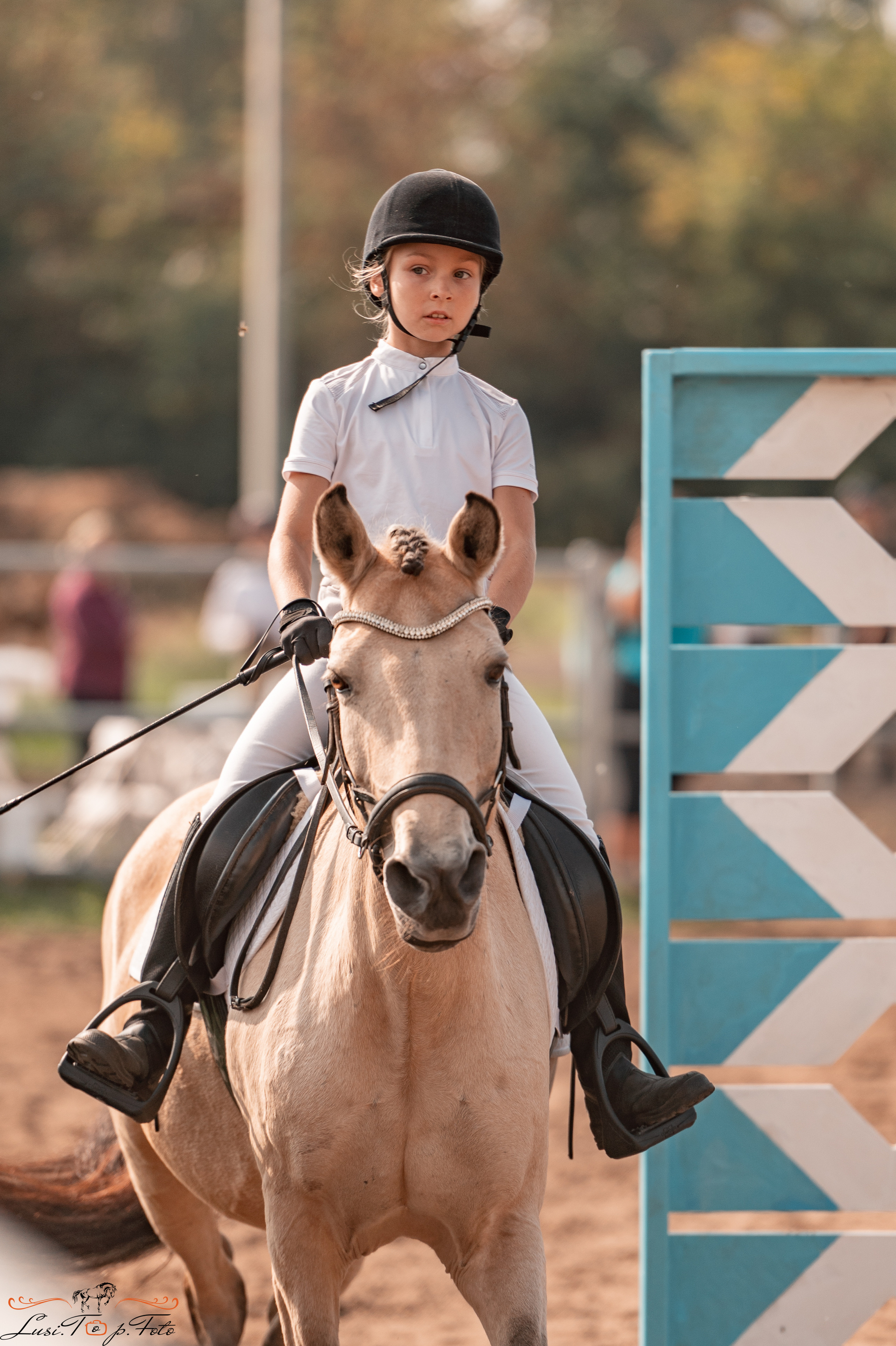 Турнир по выездке и конкуру памяти Н. Ю. Серовой (второй день — конкур). Конный и фотограф с животными в Твери Топталова Люся