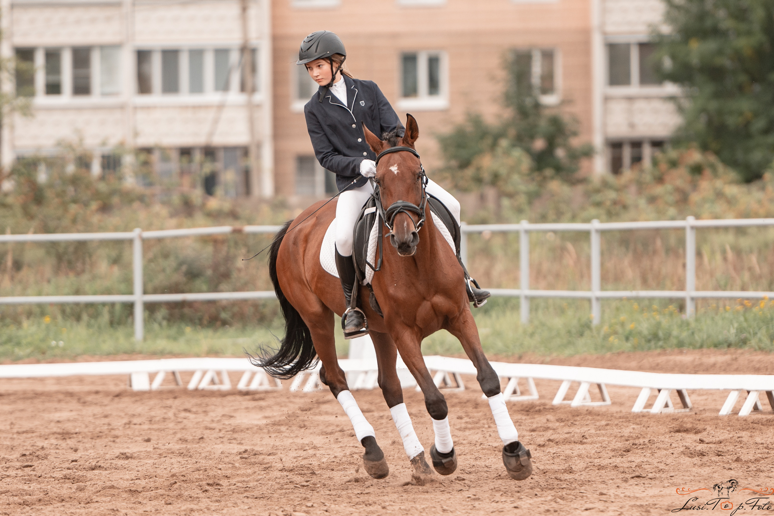 Турнир по выездке и конкуру памяти Н. Ю. Серовой (день 1 — выездка). Конный и фотограф с животными в Твери Топталова Люся