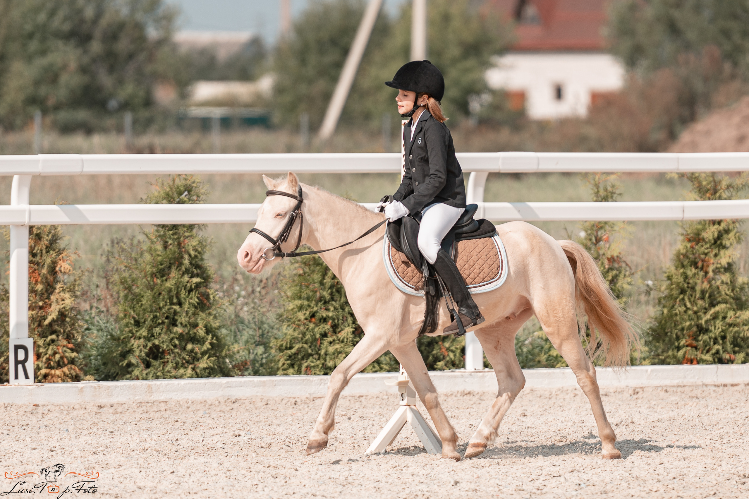 Открытая тренировка по конкуру в КК Equipark. Конный и фотограф с животными в Твери Топталова Люся