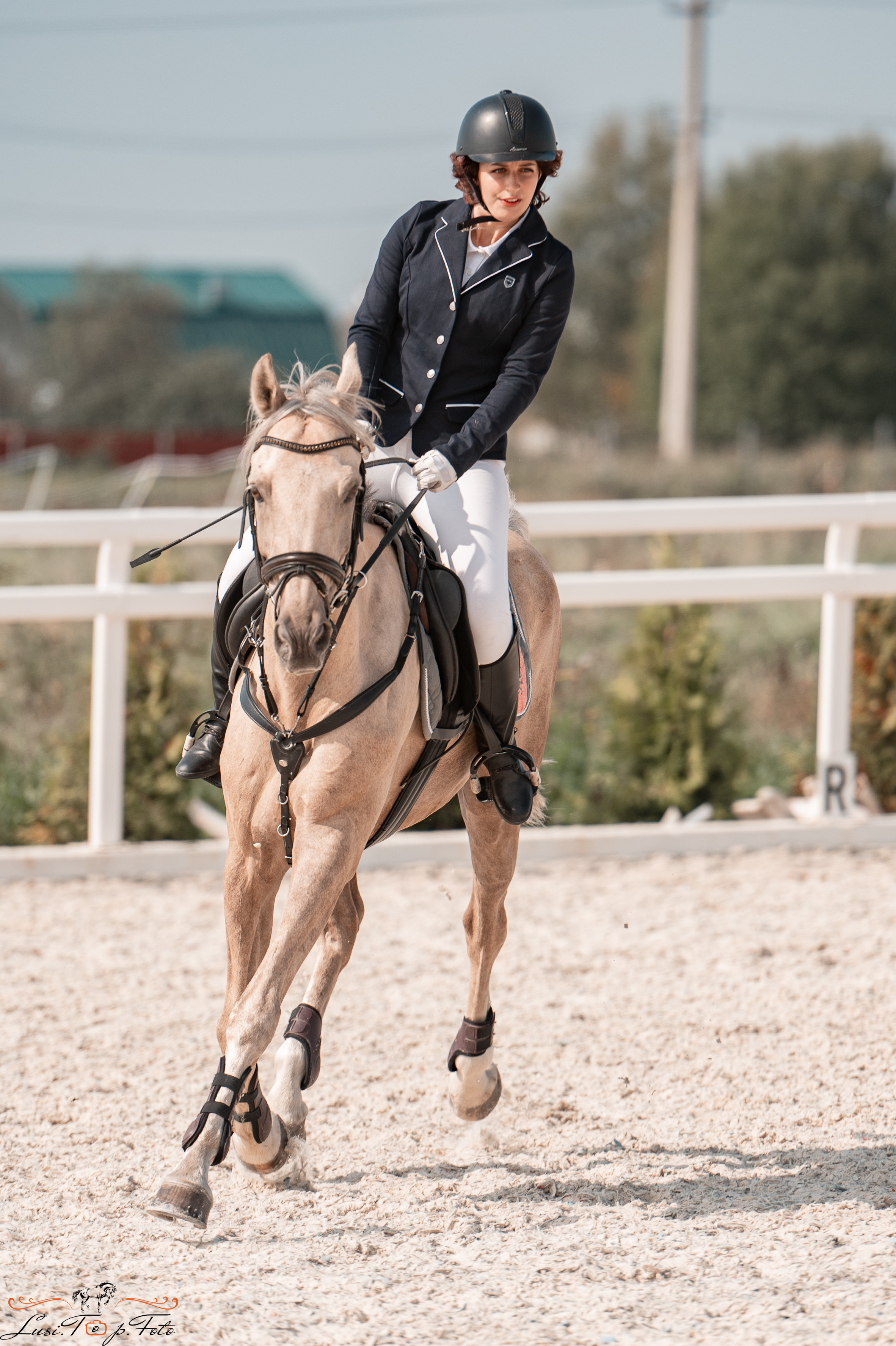 Открытая тренировка по конкуру в КК Equipark. Конный и фотограф с животными в Твери Топталова Люся