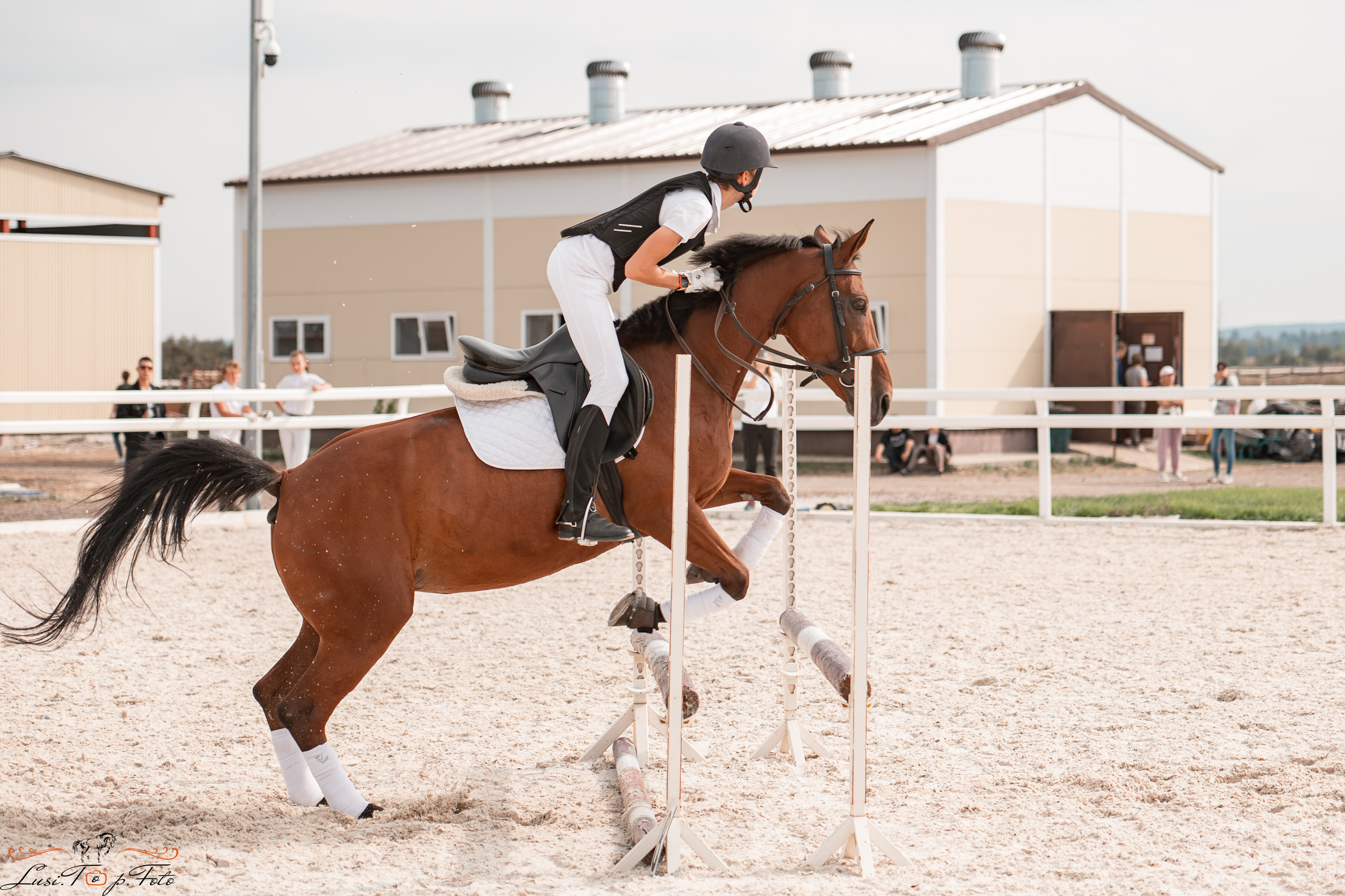 Открытая тренировка по конкуру в КК Equipark. Конный и фотограф с животными в Твери Топталова Люся