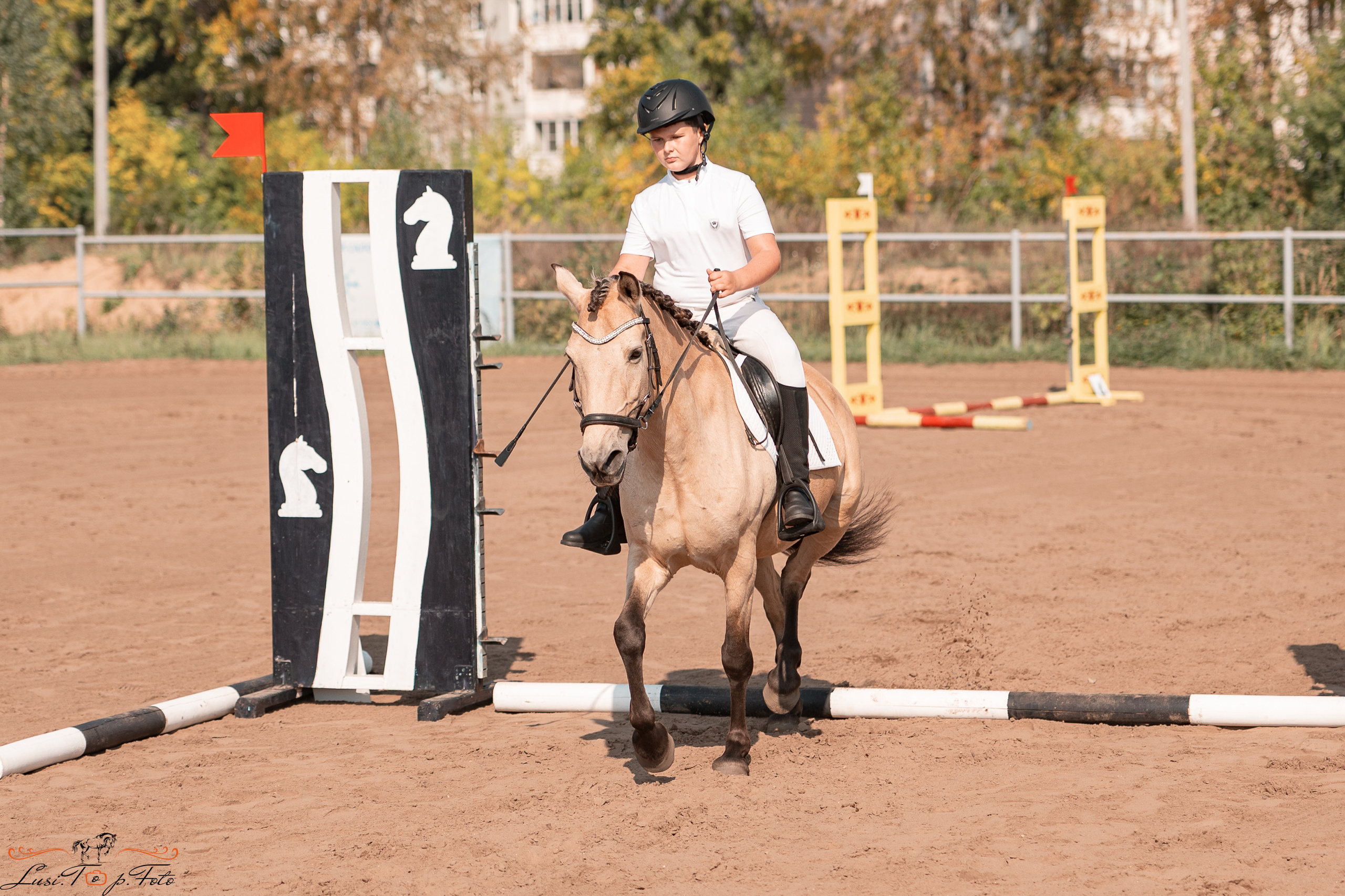 Турнир по выездке и конкуру памяти Н. Ю. Серовой (второй день — конкур). Конный и фотограф с животными в Твери Топталова Люся