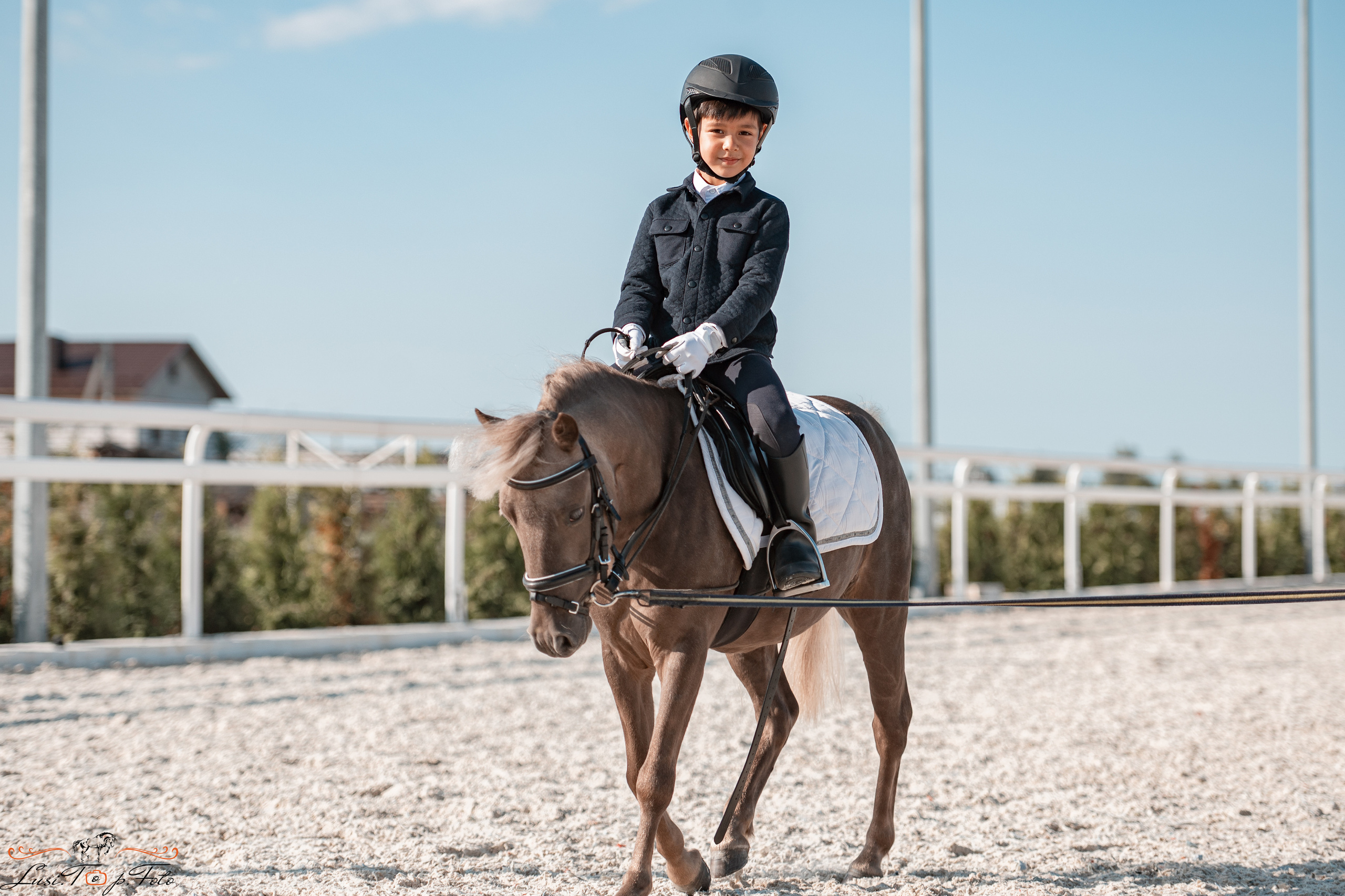 Открытая тренировка по выездке в КК Equipark. Конный и фотограф с животными в Твери Топталова Люся