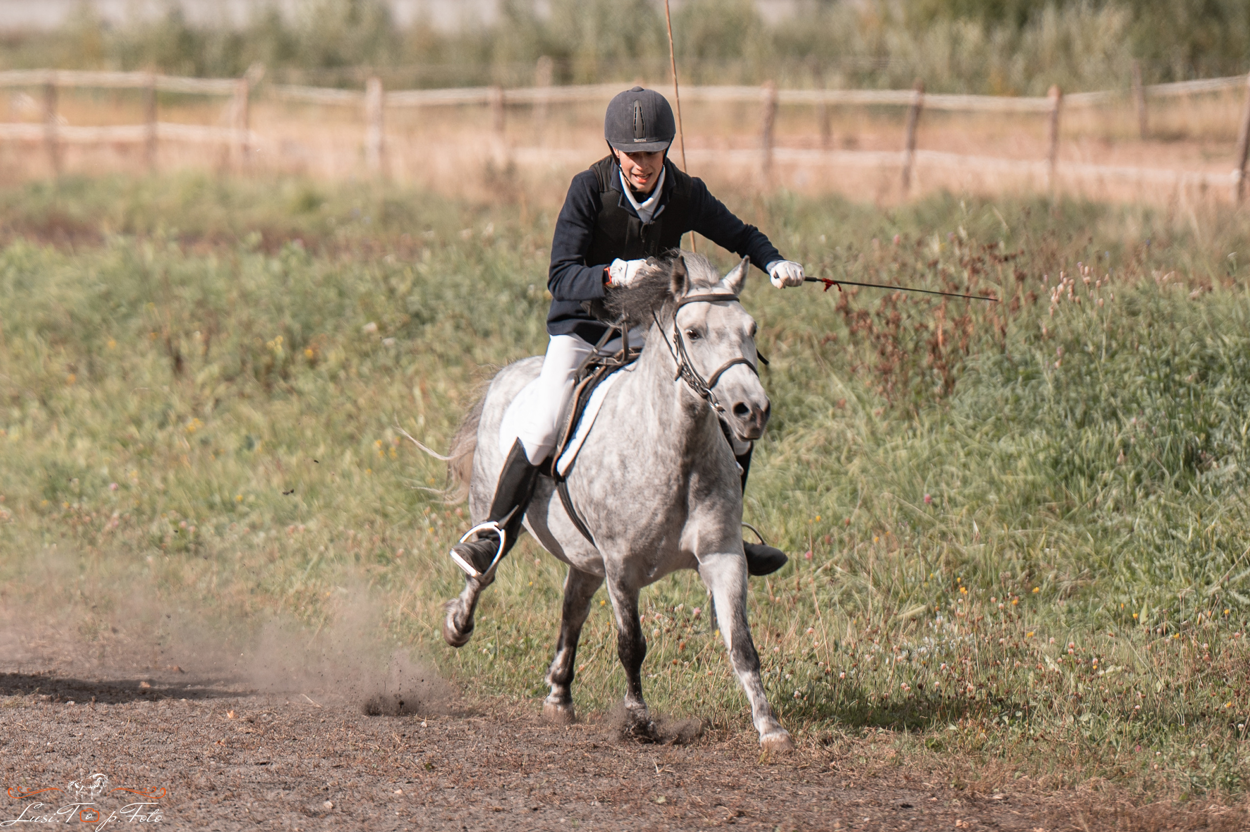 День лошади 2021. Конный и фотограф с животными в Твери Топталова Люся