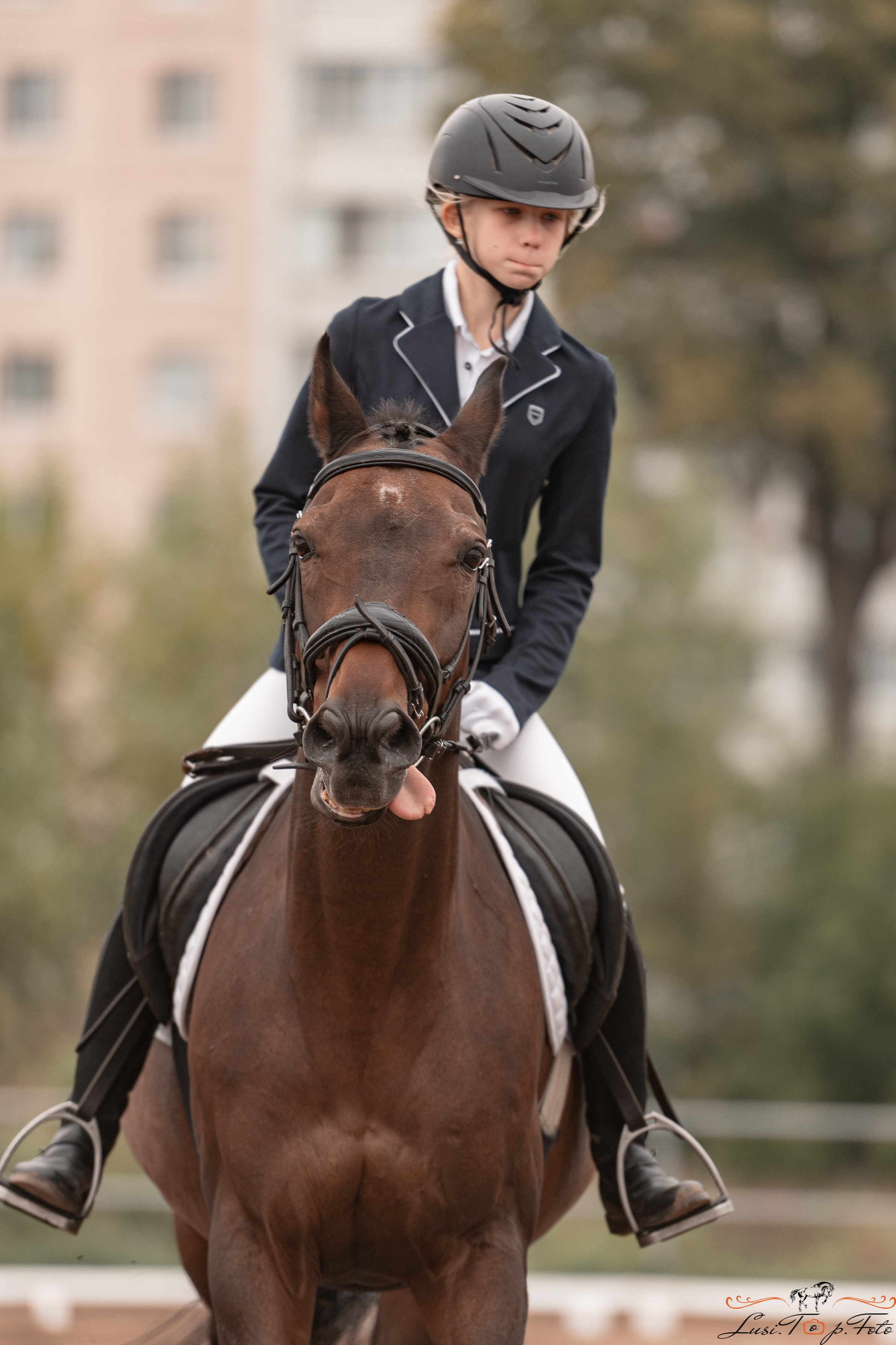 Турнир по выездке и конкуру памяти Н. Ю. Серовой (день 1 — выездка). Конный и фотограф с животными в Твери Топталова Люся
